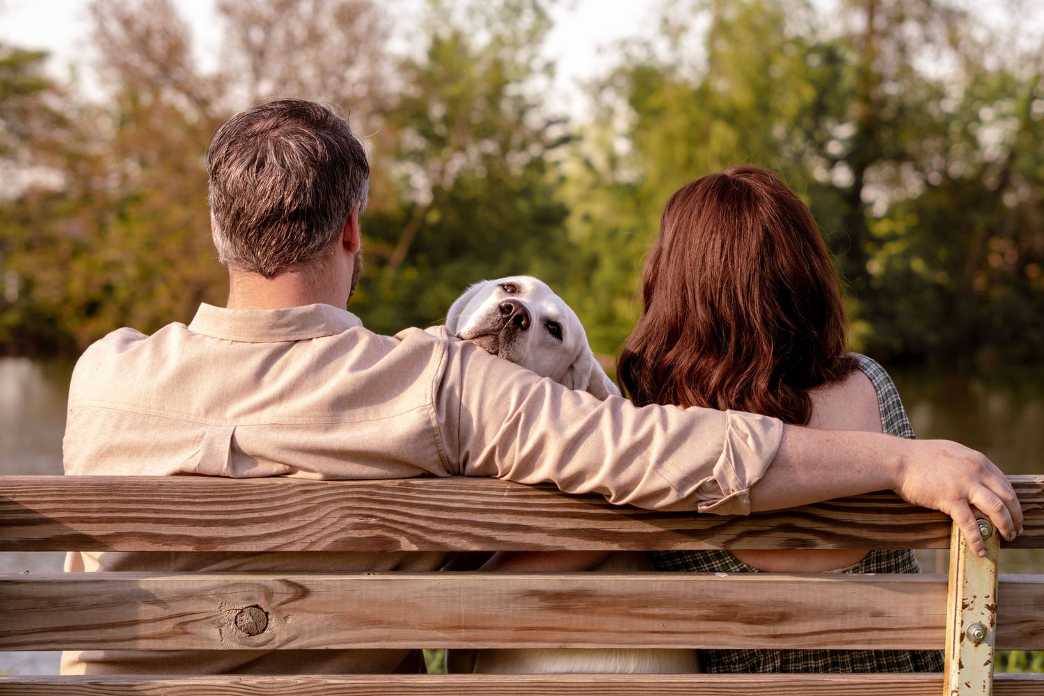 Couple sitting on wooden bench with small white dog, viewed from behind, overlooking a serene green landscape.