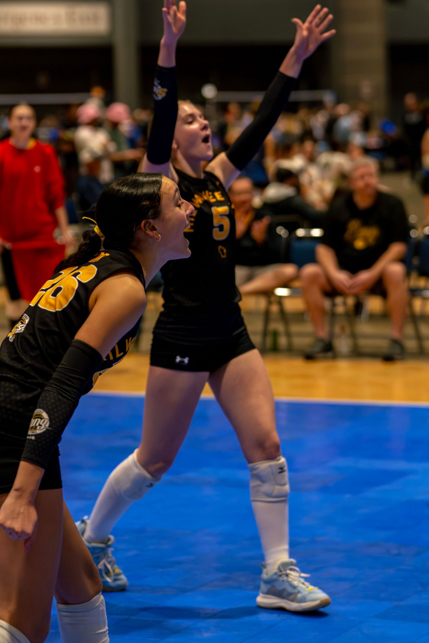 Two female volleyball players in black and gold uniforms celebrate during an indoor match on a blue court.