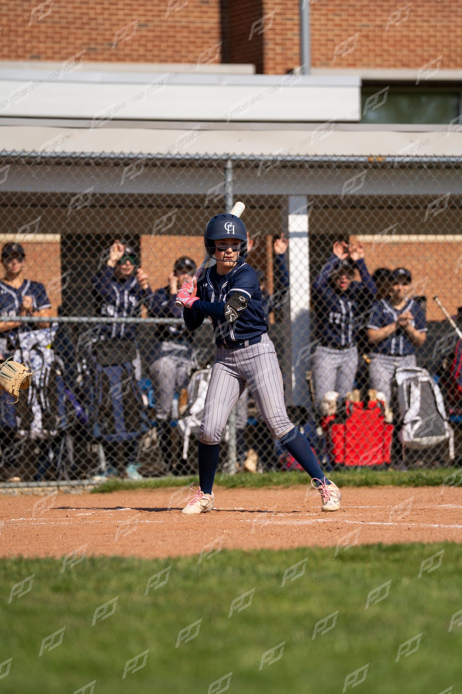 Female softball player in navy pinstripe uniform and helmet prepares to bunt at home plate.