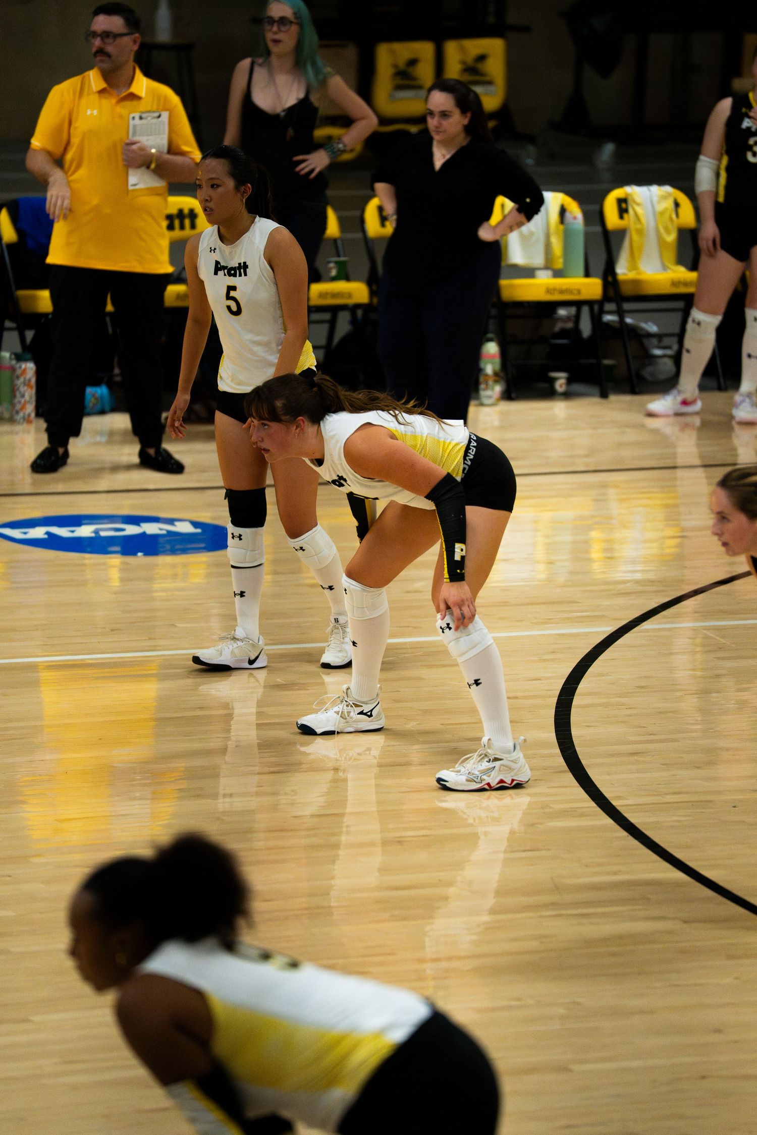 Pratt volleyball players in yellow and white uniforms prepare during an NCAA match on a hardwood court.