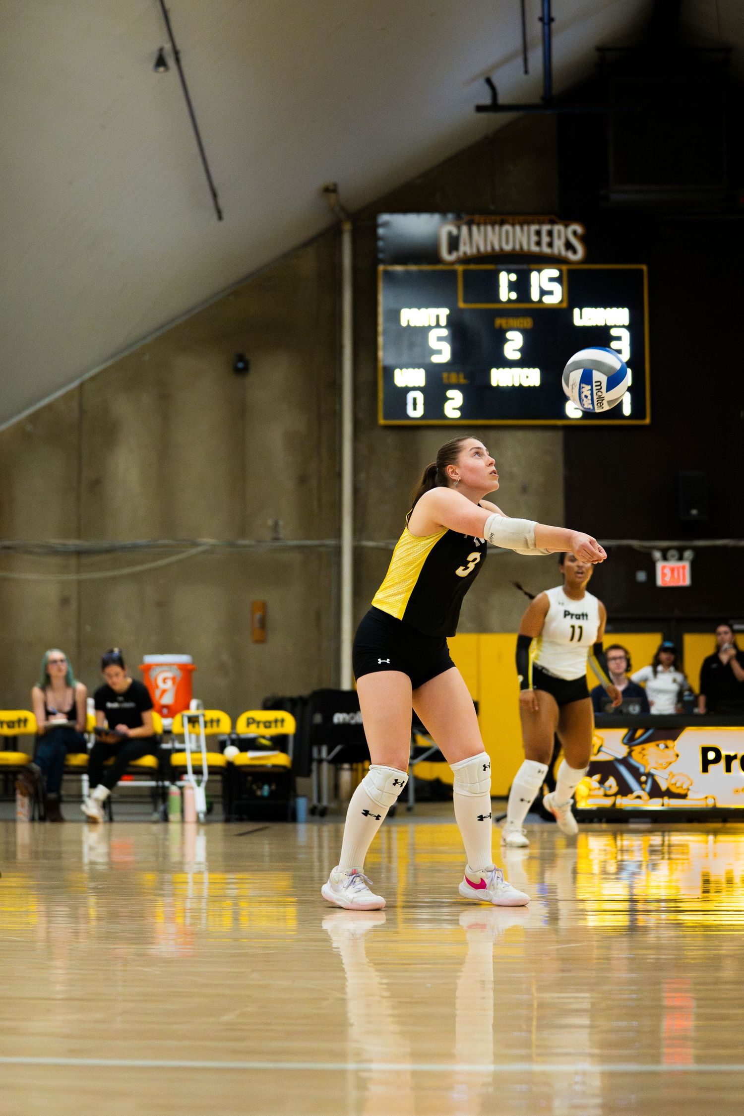 Volleyball player #3 in black and gold uniform prepares to serve during a Cannoneers game on an indoor court.