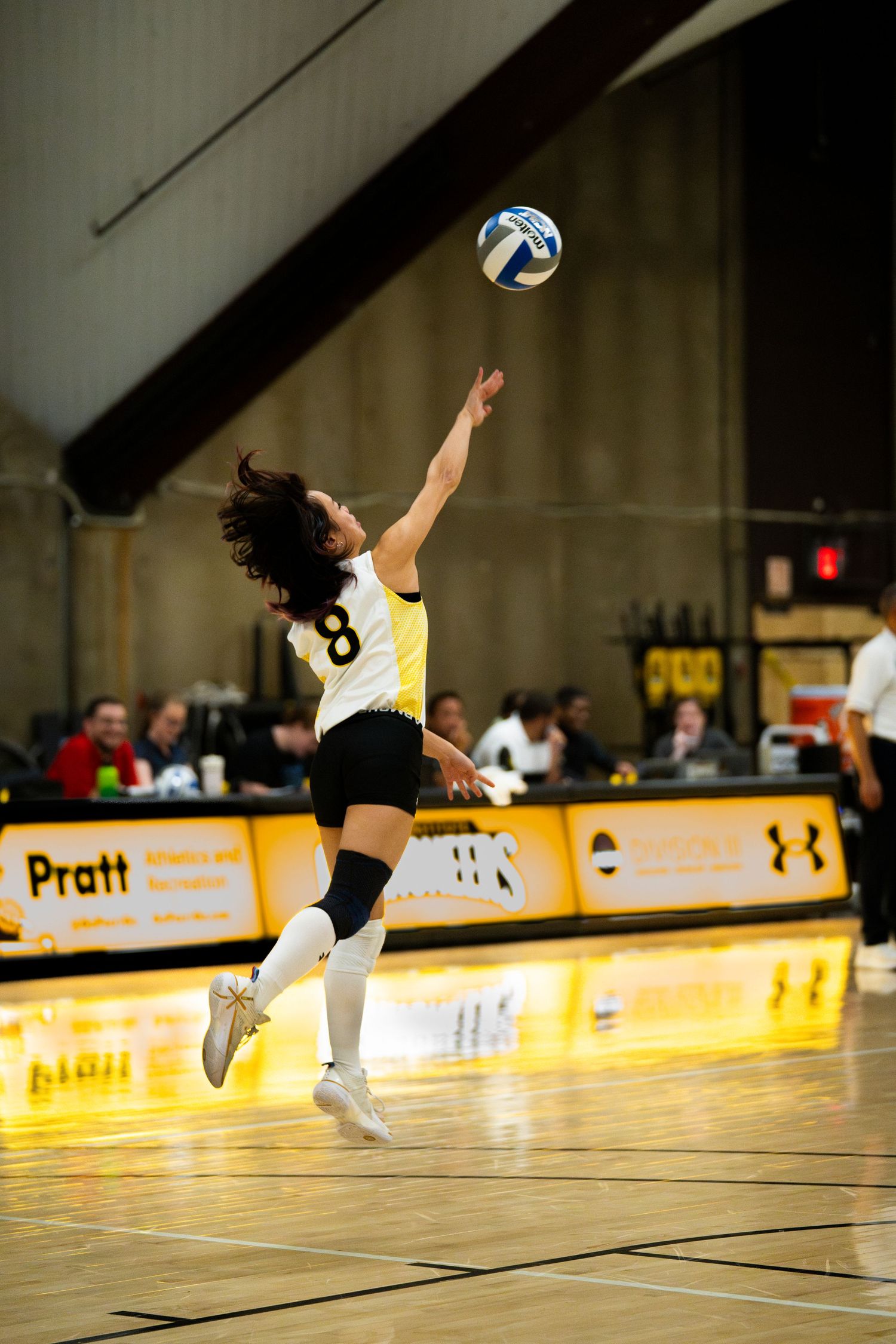 Volleyball player #8 in black and yellow uniform leaps to serve the ball during an indoor match.