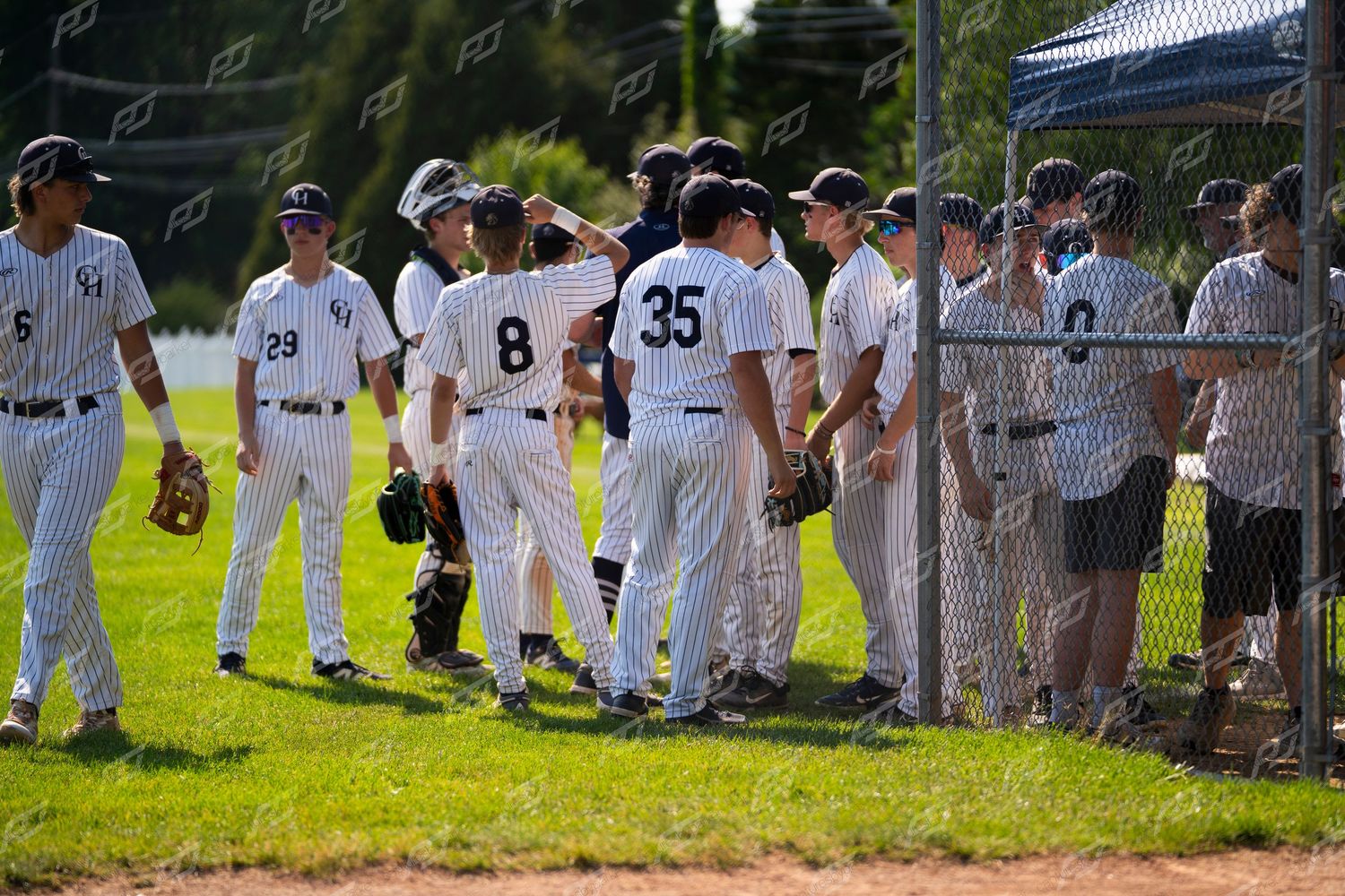 Baseball teammates in pinstripe uniforms celebrating and high-fiving along the dugout fence after a play.