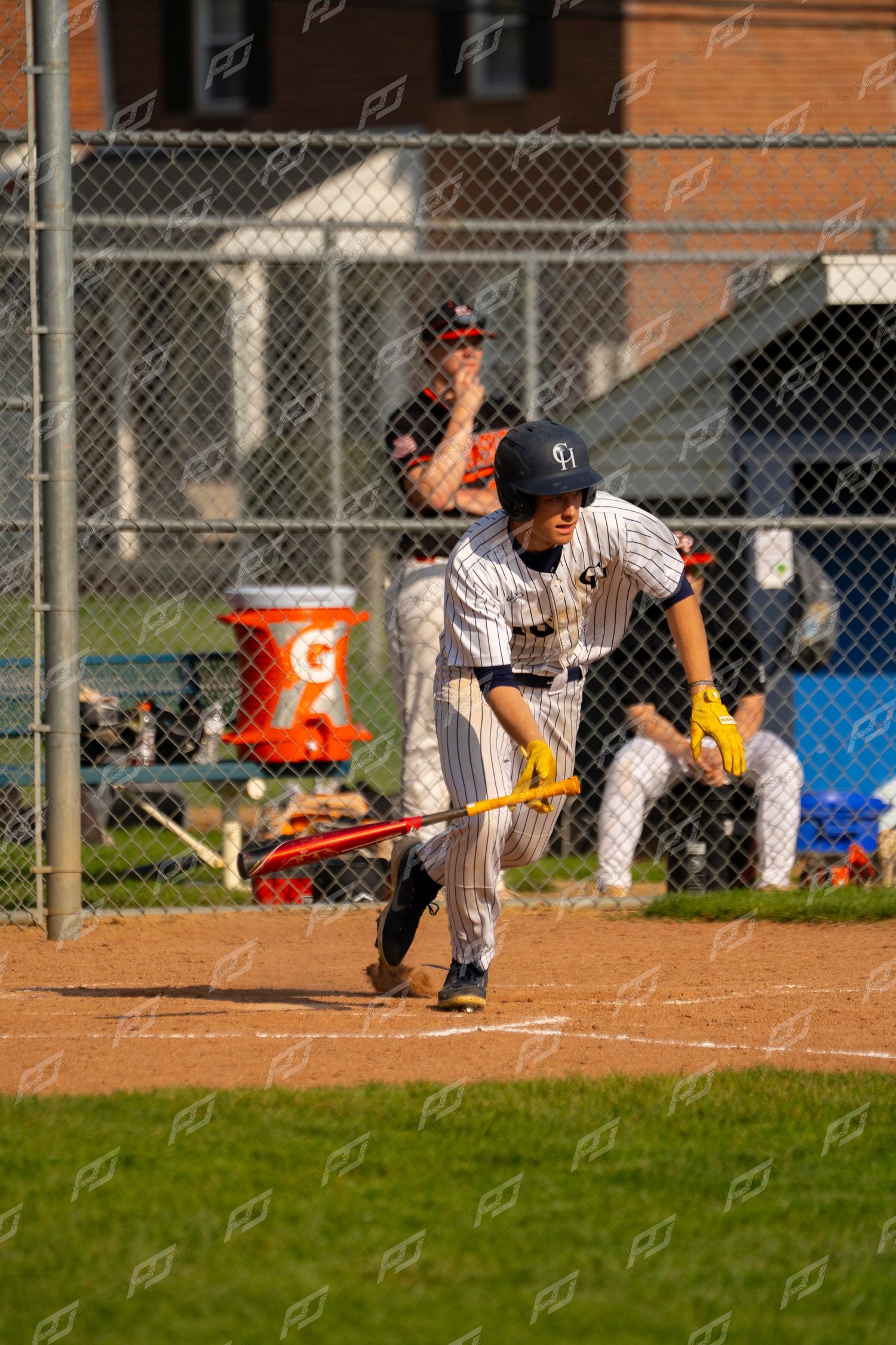 Youth baseball player in white pinstripe uniform executing a bunt at home plate during a game.