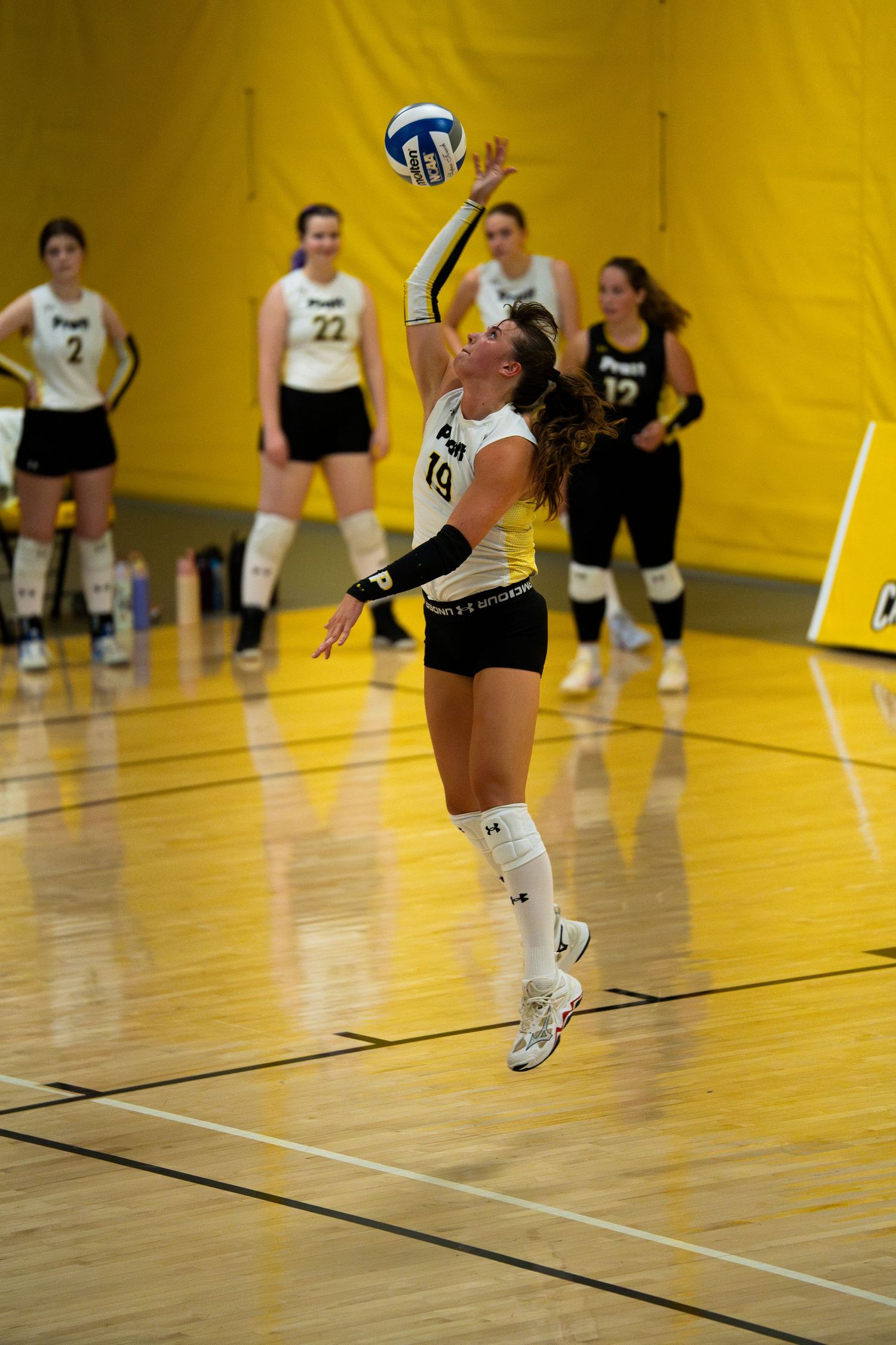 Female volleyball player in yellow uniform jumps to serve ball during indoor college match.