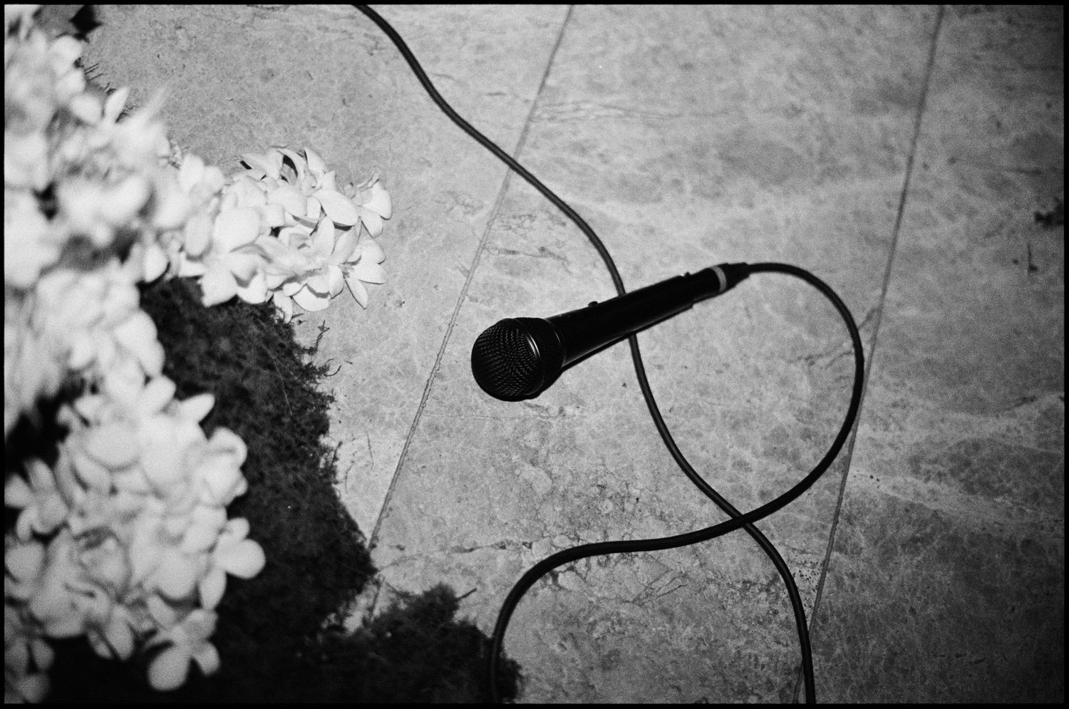 Black and white photo of a microphone with cord on tiled floor beside white flowers.