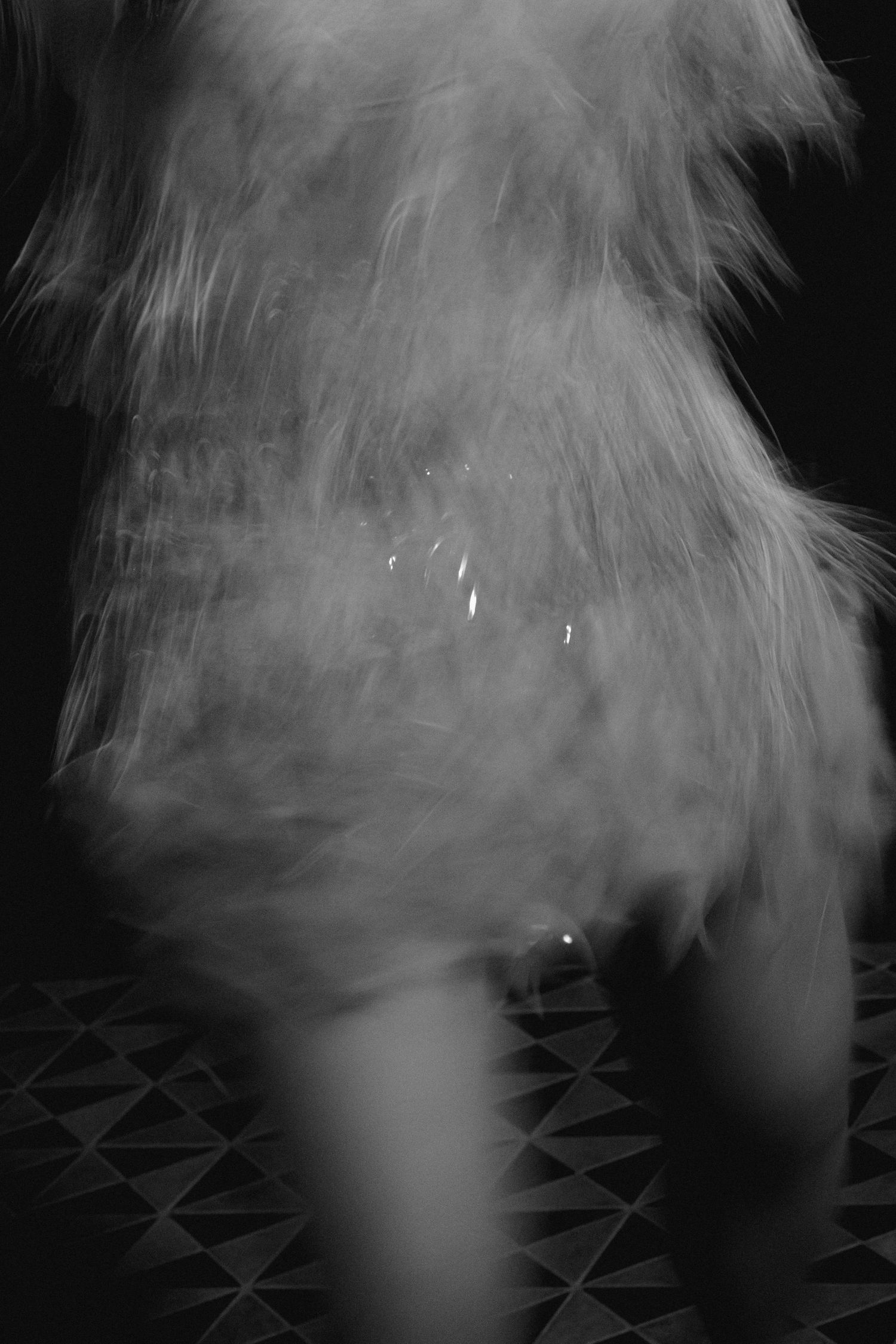 Abstract black and white image showing soft flowing textures.