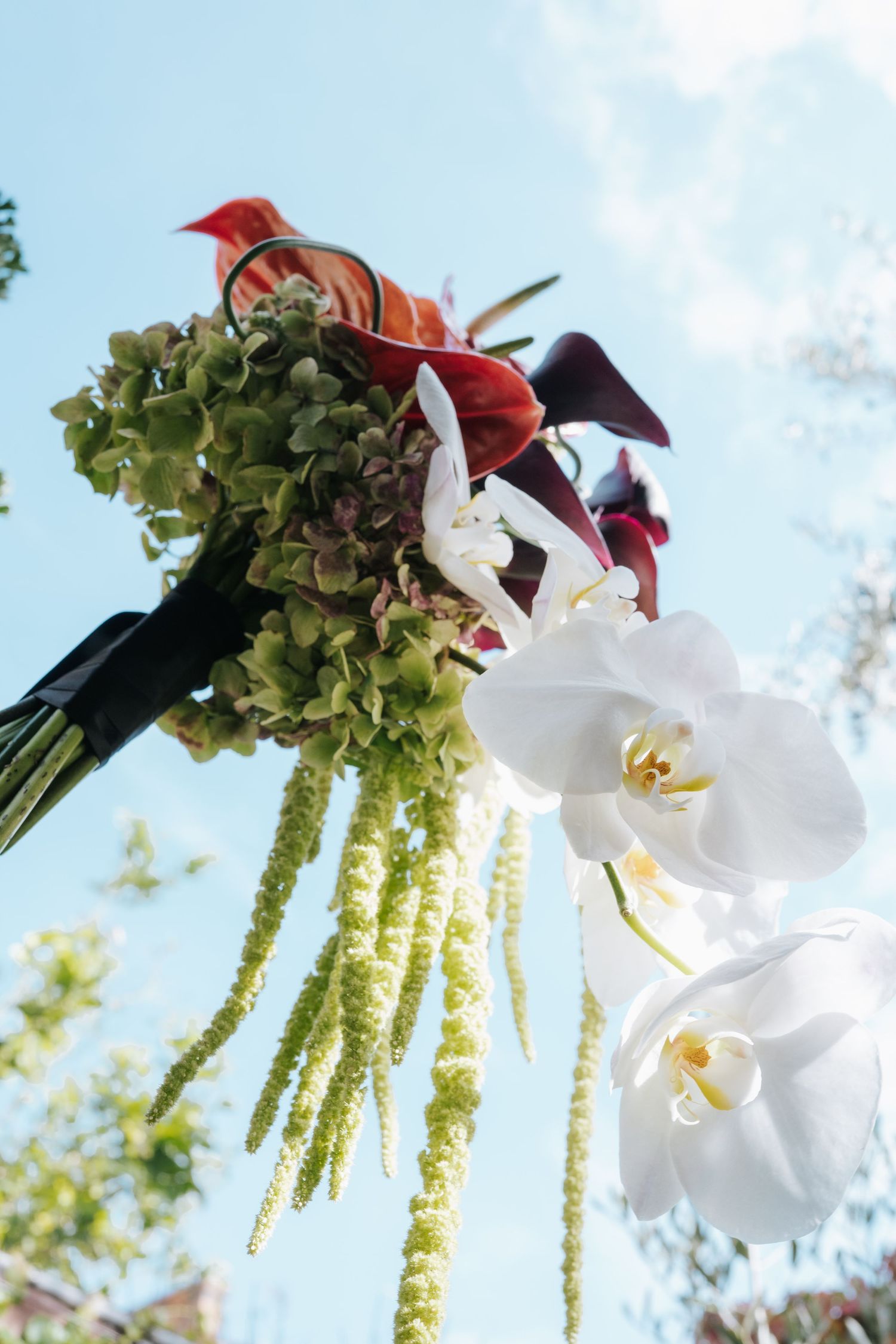 Elegant wedding bouquet with white orchids, burgundy calla lilies, green hydrangeas, and hanging amaranthus against blue sky.