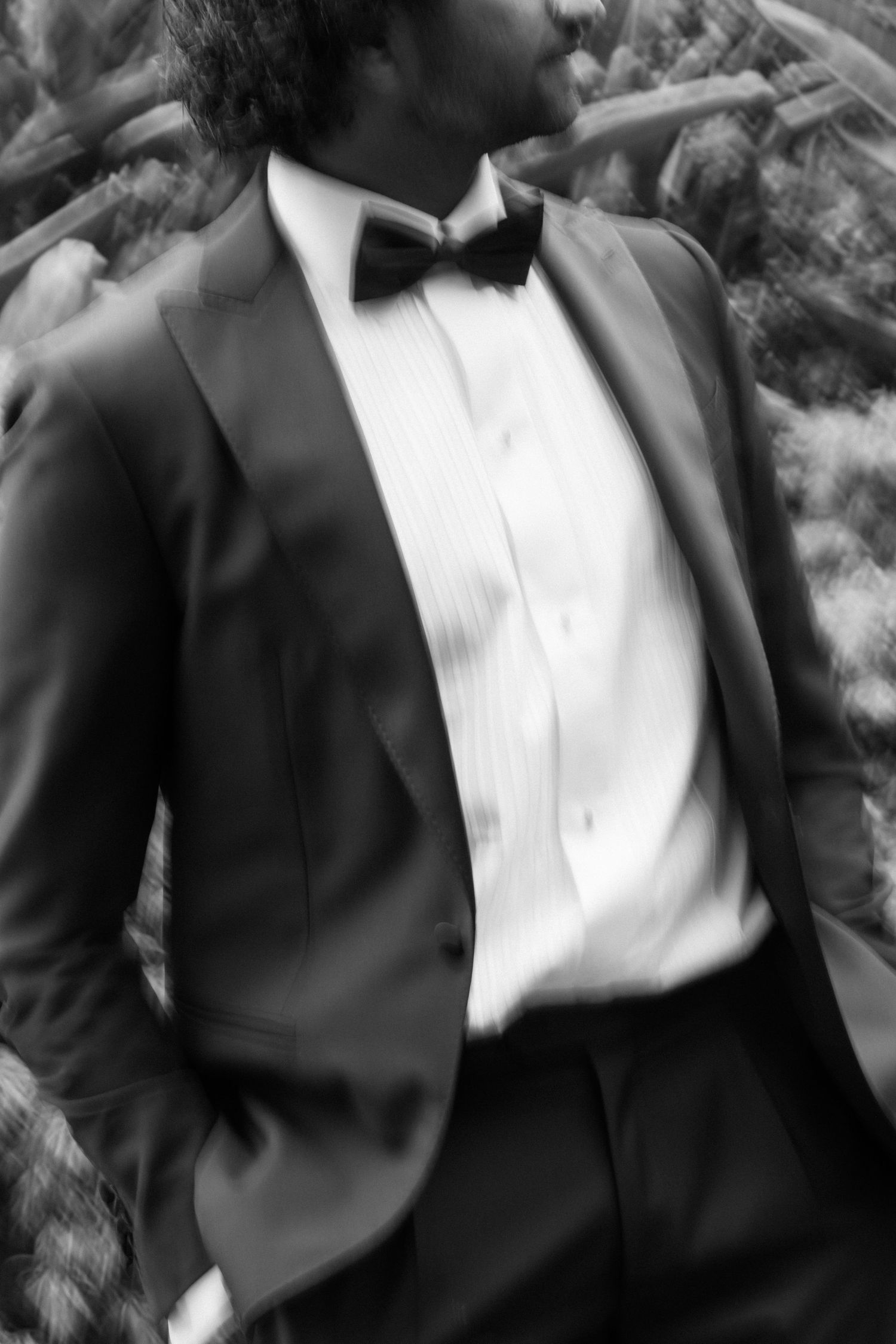 Close-up of formal black tuxedo and white dress shirt with bow tie.