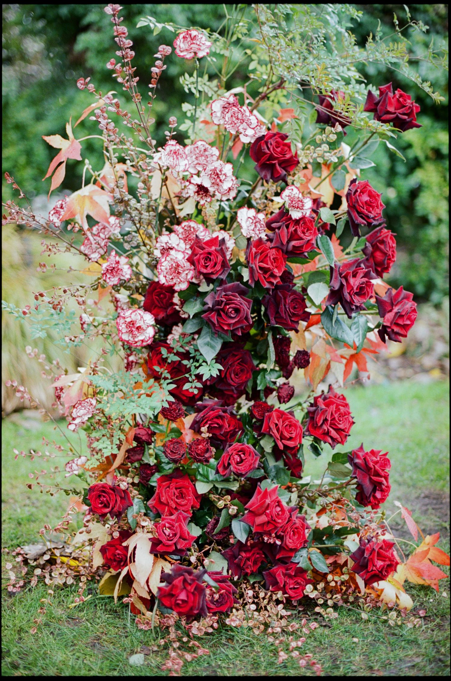 Lush red rose floral arrangement with burgundy blooms and greenery displayed outdoors on grass for a wedding ceremony.