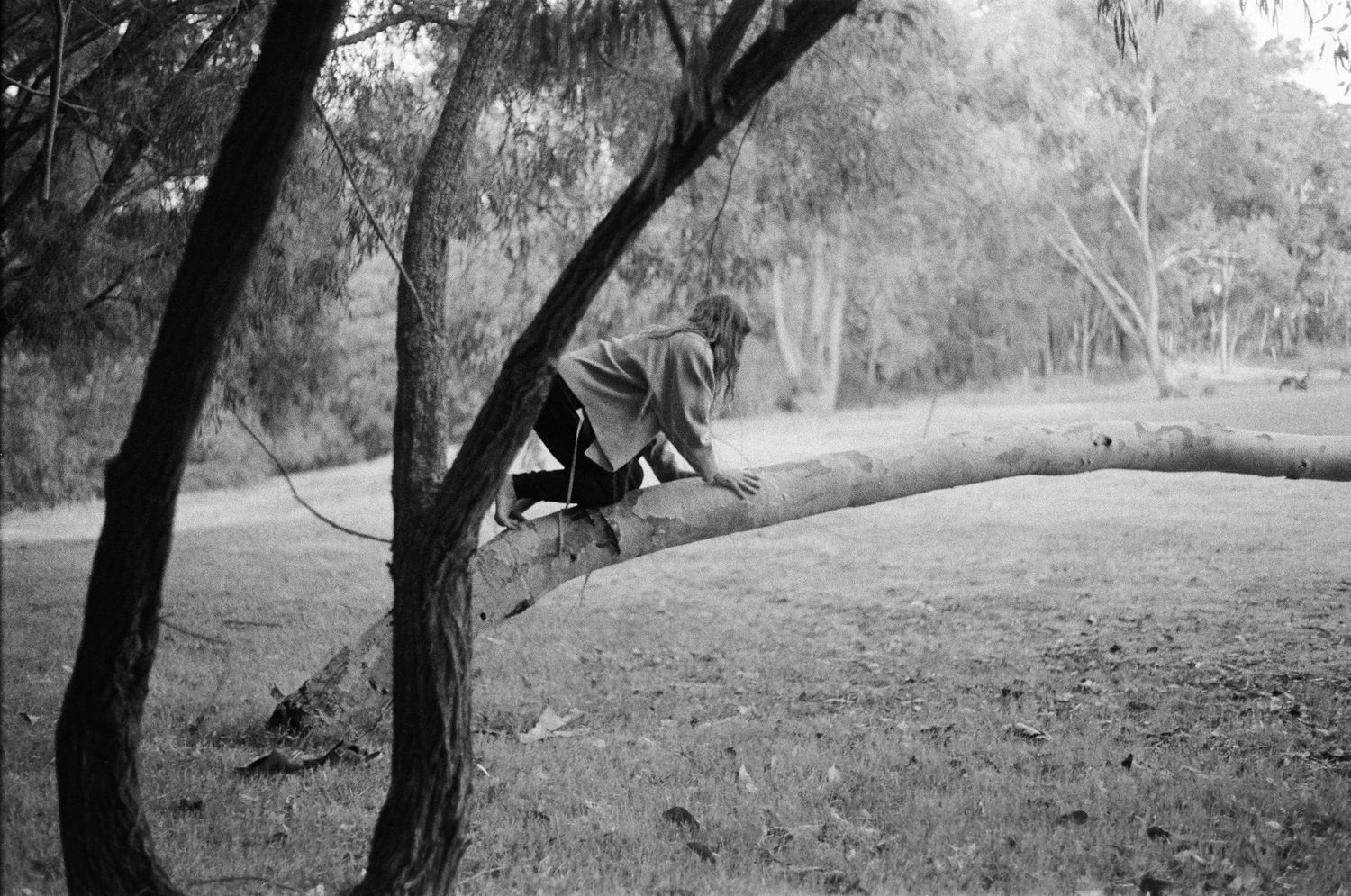 A scenic black and white landscape photograph shows a winding path through trees on a grassy hillside.