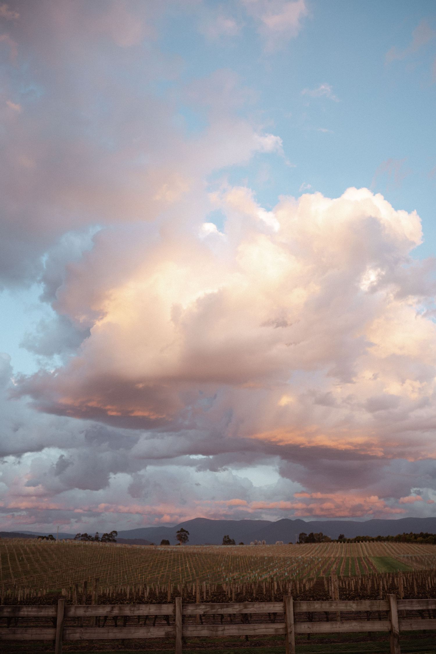 Dramatic sunset clouds over a rural vineyard with wooden fencing in the foreground.
