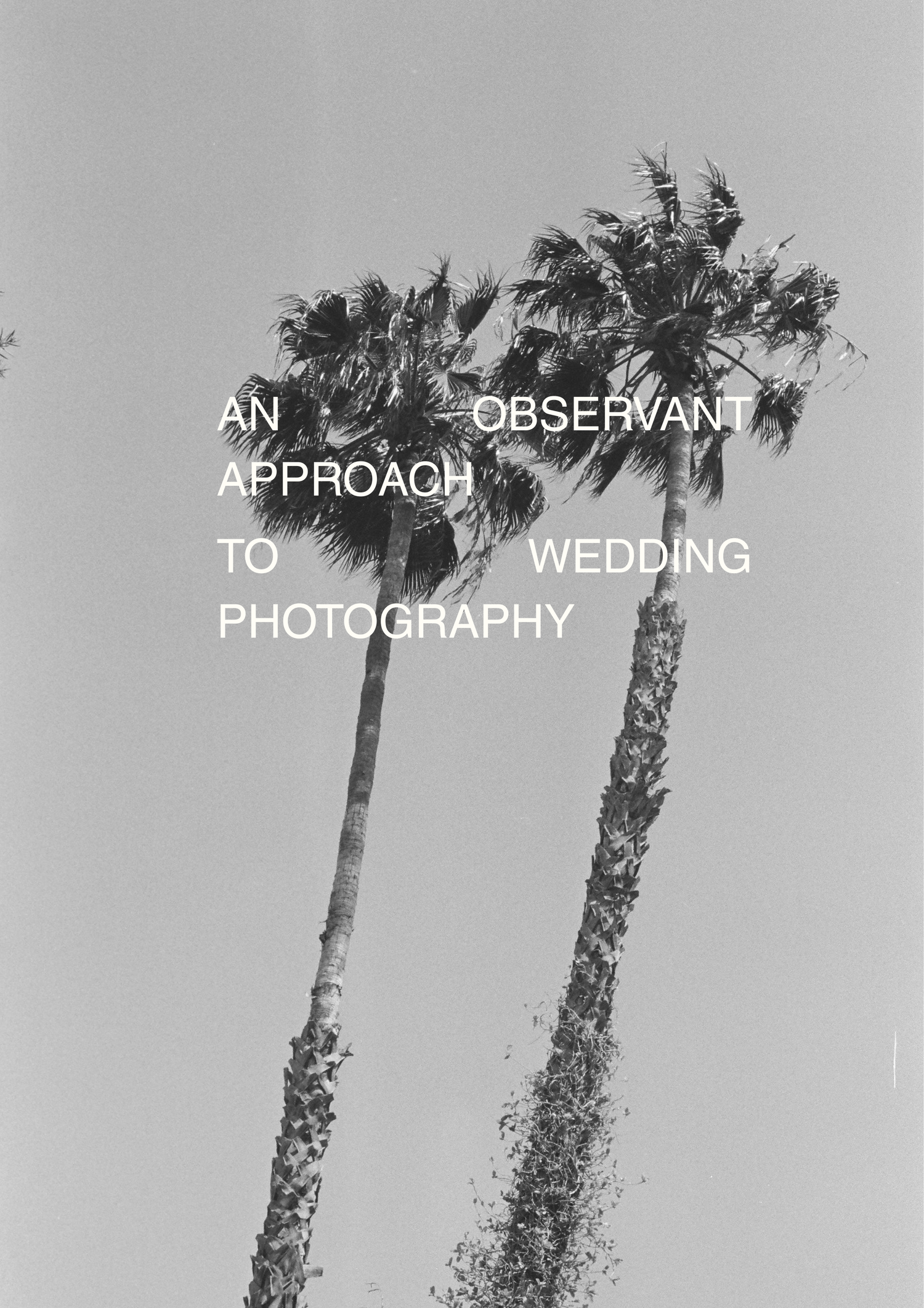 Black and white photo of two tall palm trees against a grey sky with text about observant wedding photography.