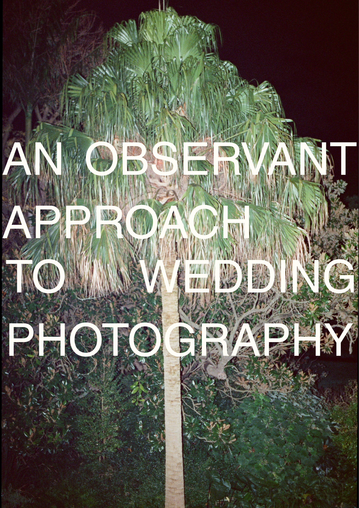 Book cover titled An Observant Approach to Wedding Photography with a palm tree at night.