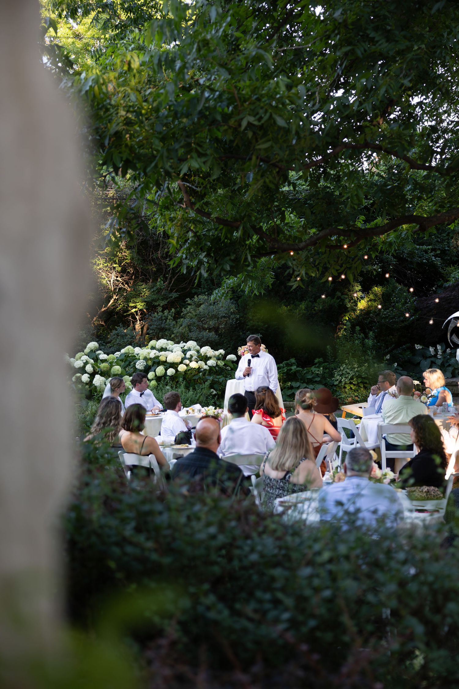 Garden wedding reception with white chairs and hydrangea bushes under string lights.