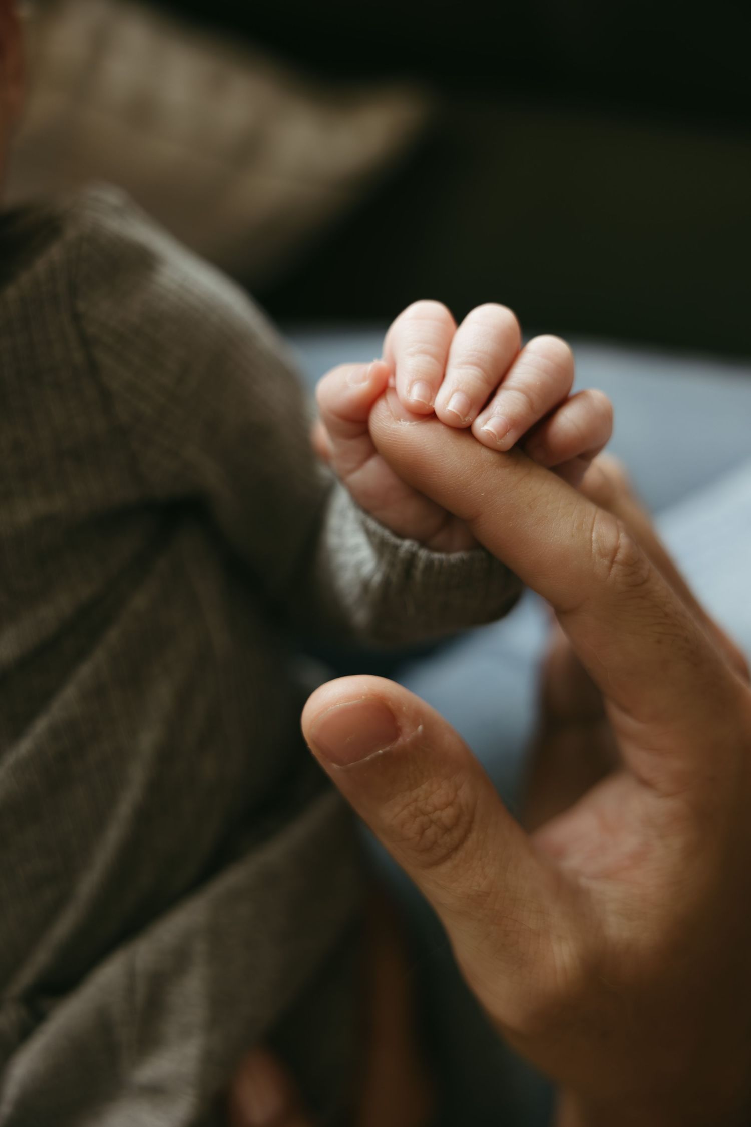 A series of hands holding and examining a small object in soft natural lighting.