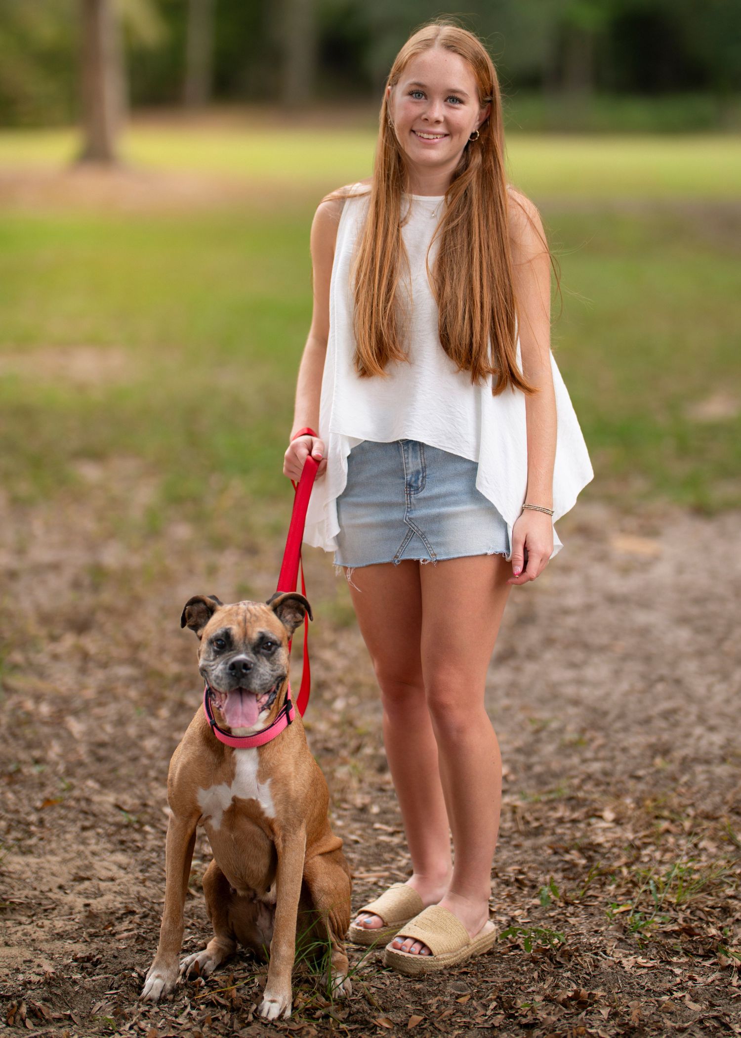 A brown pit bull mix dog wearing a red collar stands on dirt ground while being walked on a leash in a park setting.