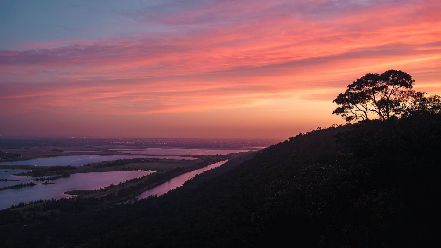 Breathtaking pink and red sunset sky silhouettes a lone tree overlooking a winding river delta below.