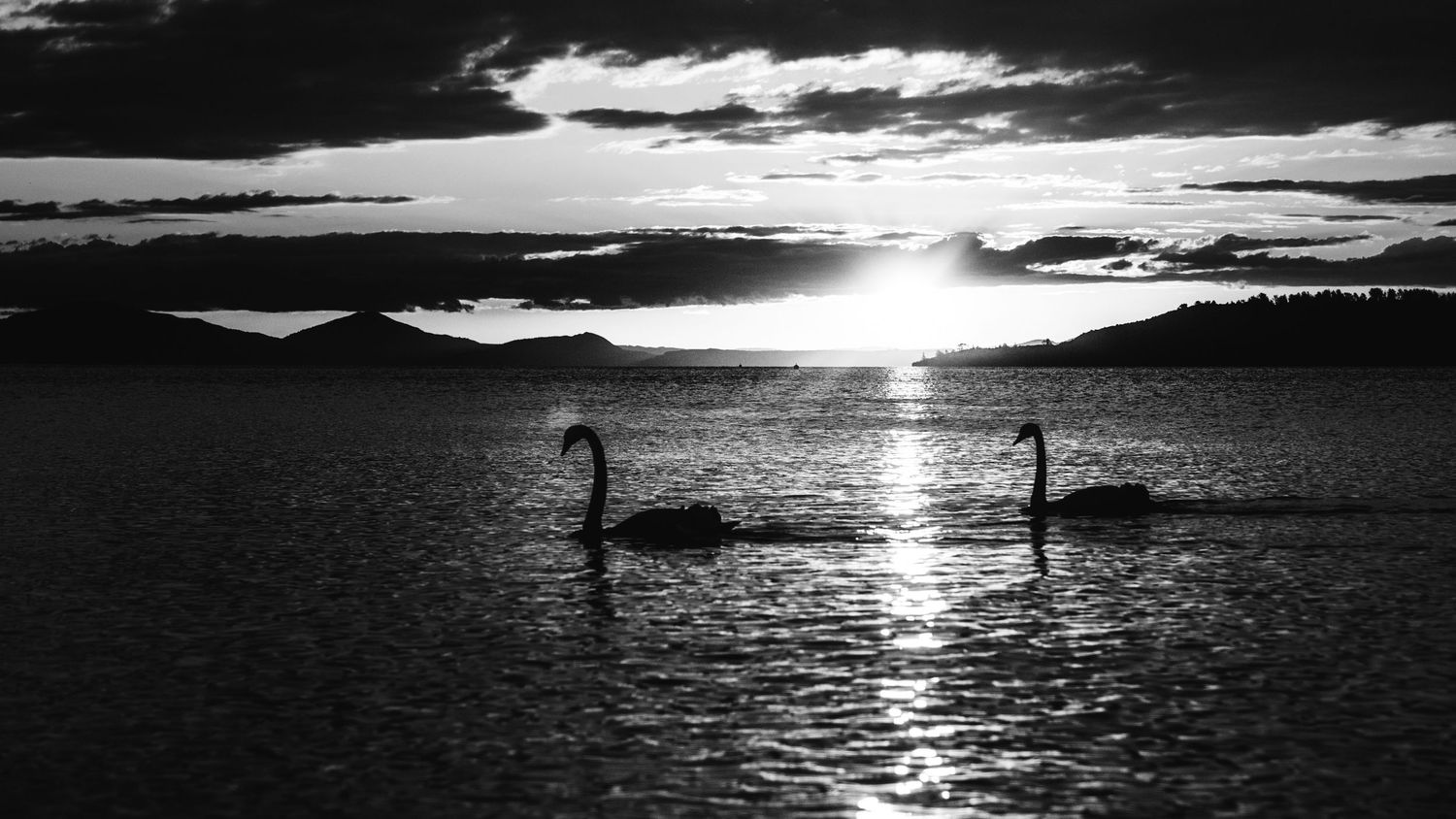 Two swans float on a lake at sunset with mountains silhouetted in a dramatic black and white scene.