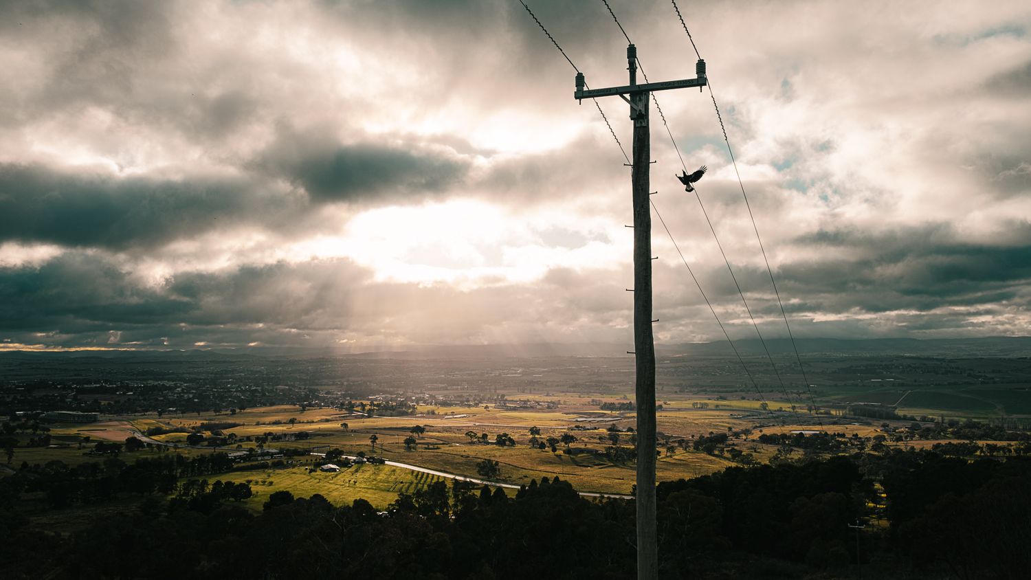 A lone bird perches on a power pole under dramatic storm clouds over a vast rural valley.