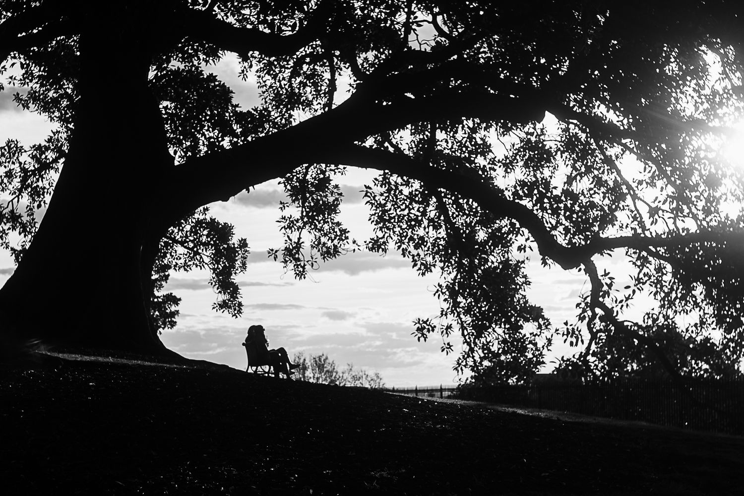 Silhouette of person sitting under large tree with bright sky in black and white.