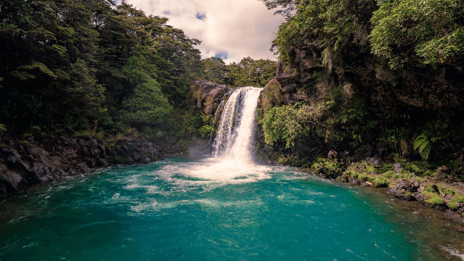 Crystal clear turquoise waterfall cascades into a vibrant blue pool surrounded by lush tropical rainforest.