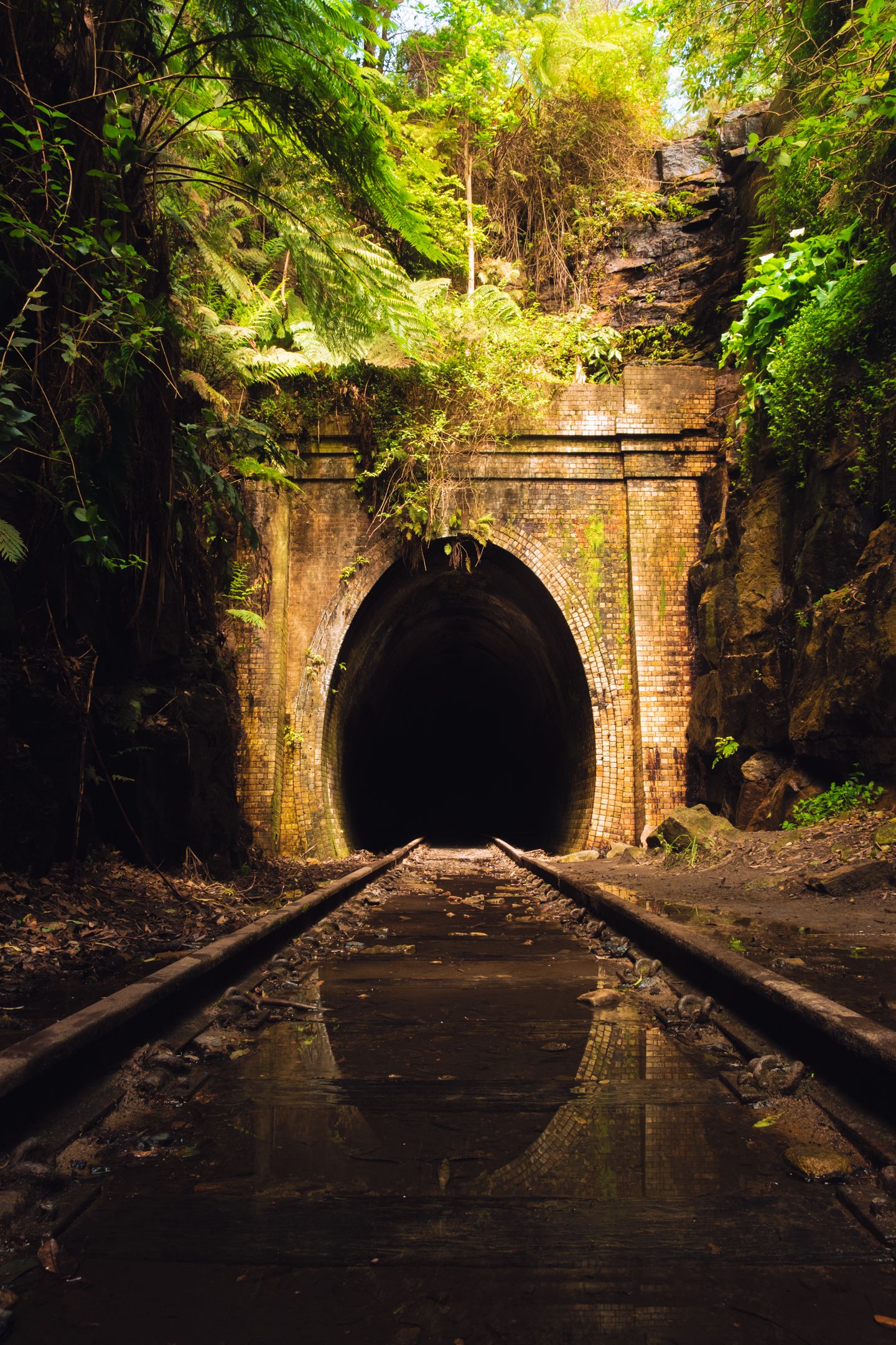 Historic brick railway tunnel entrance covered in lush green ferns and jungle vegetation with reflective tracks.