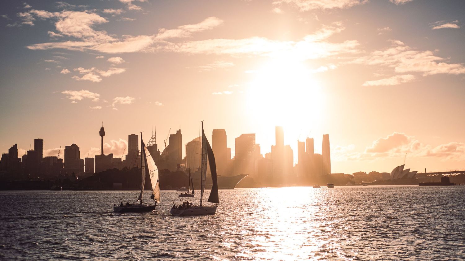 Sailboat on golden water with Sydney city skyline silhouetted against a setting sun.