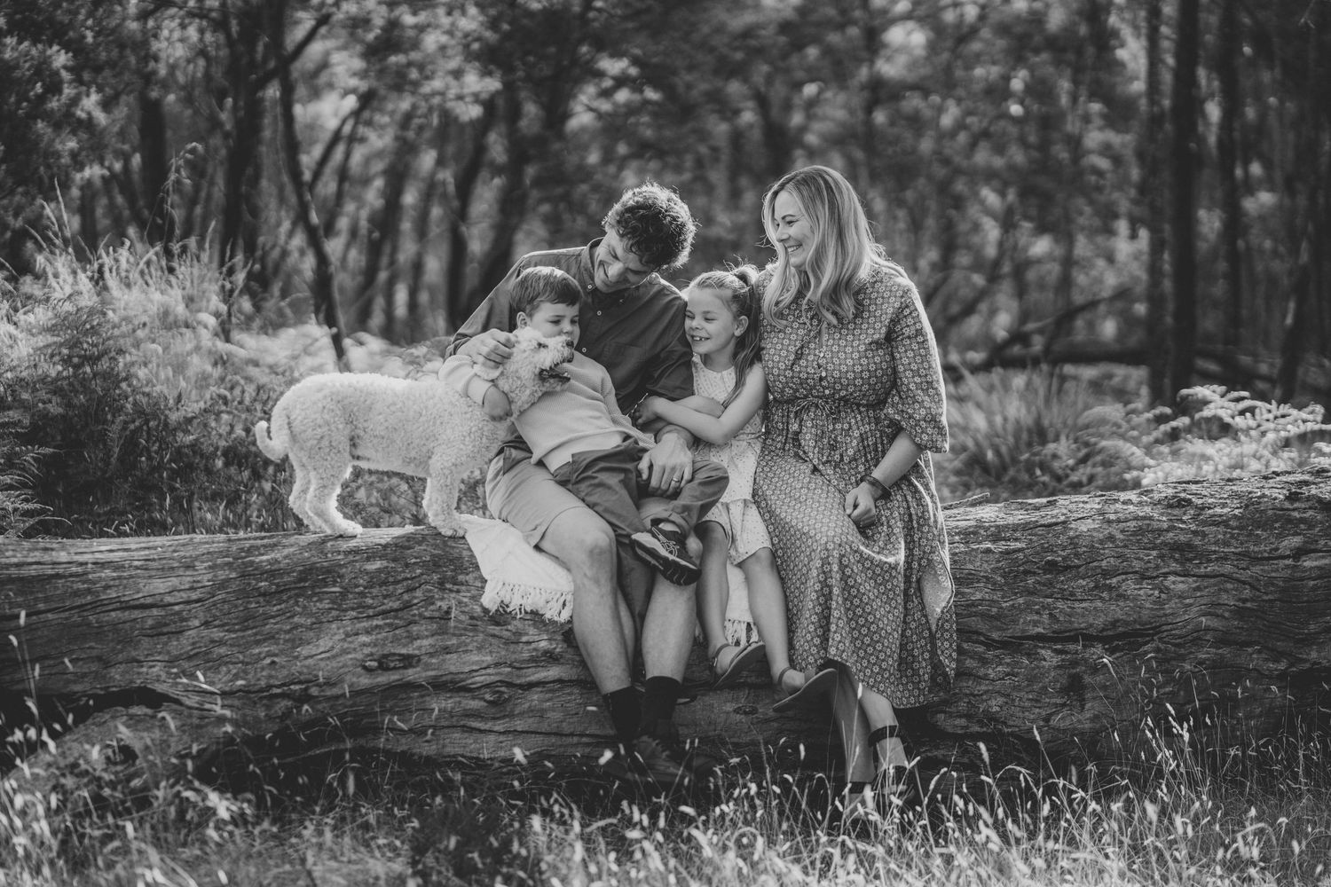 Family of four sitting on a log in bushland with their dog | Wollongong and Newcastle Family Photographer