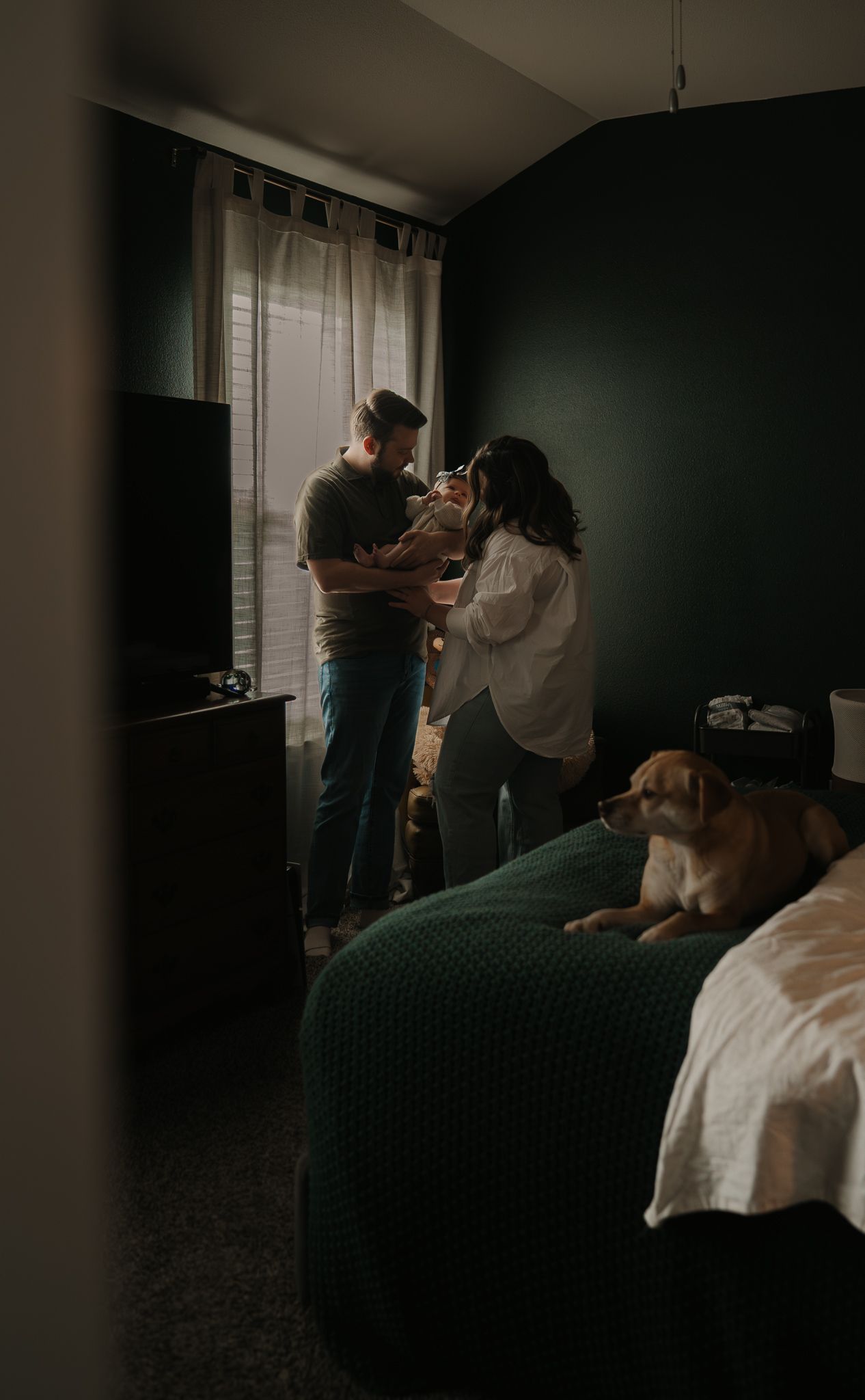 Young couple admiring their newborn baby by window while dog rests on bed.