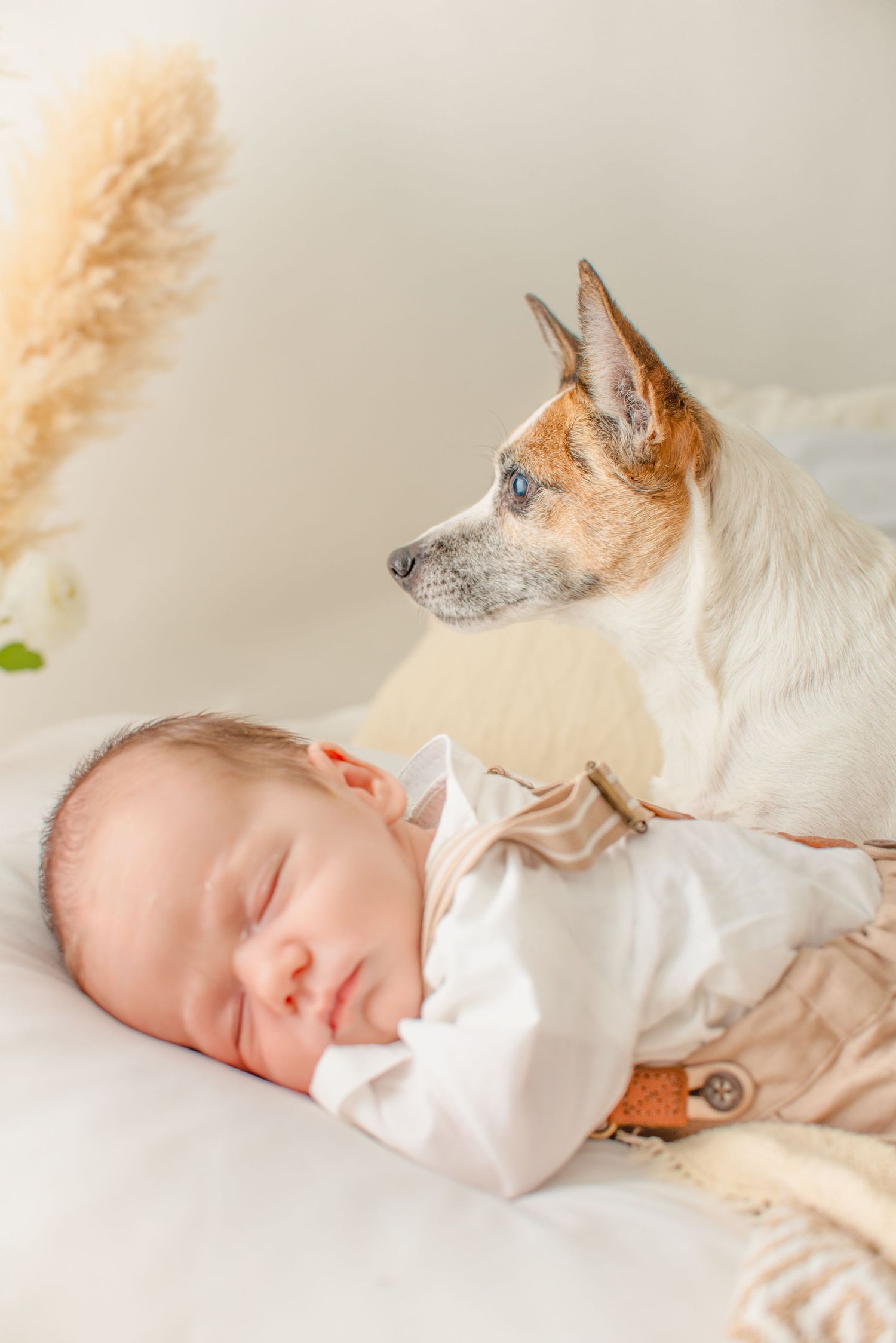 Newborn Photographer Cavan, Maternity Photography, Cake Smash, Milestones, Family Photography, Baby Photographer Ireland