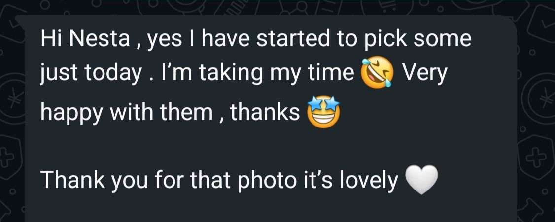 A WhatsApp message expressing gratitude for picking something and appreciation for a lovely photo shared.