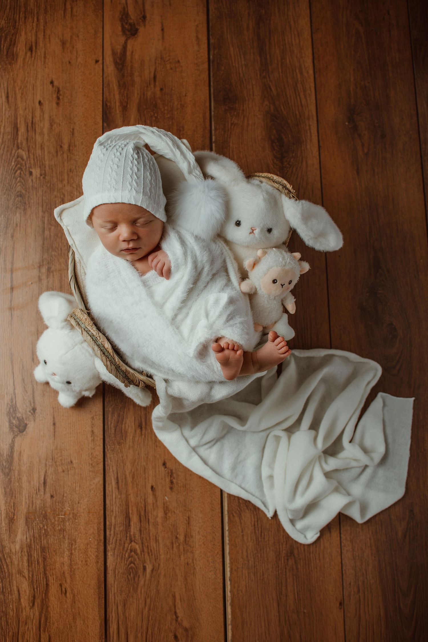 Newborn Photographer Cavan, Maternity Photography, Cake Smash, Milestones, Family Photography, Baby Photographer Ireland
