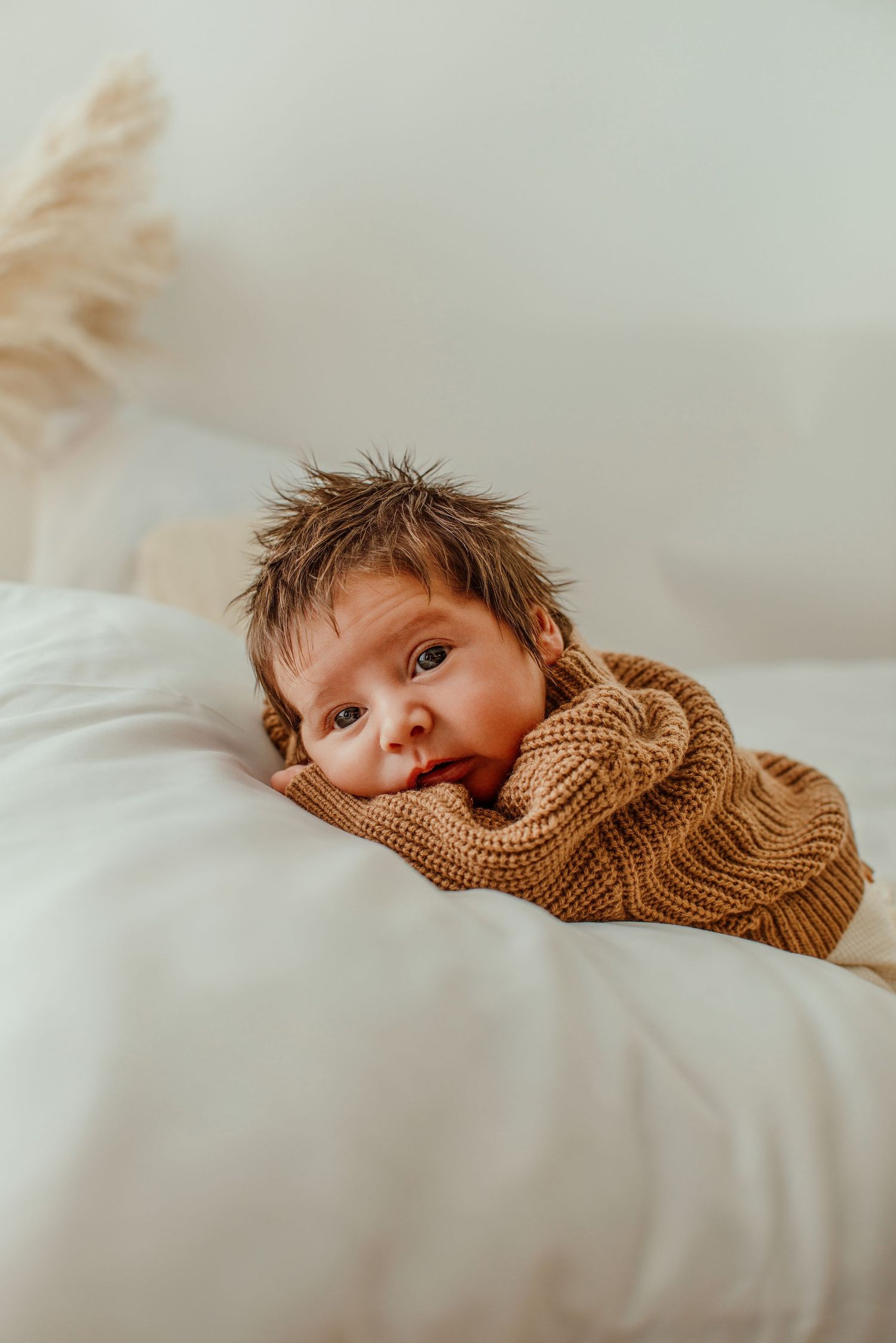 Newborn Photographer Cavan, Maternity Photography, Cake Smash, Milestones, Family Photography, Baby Photographer Ireland
