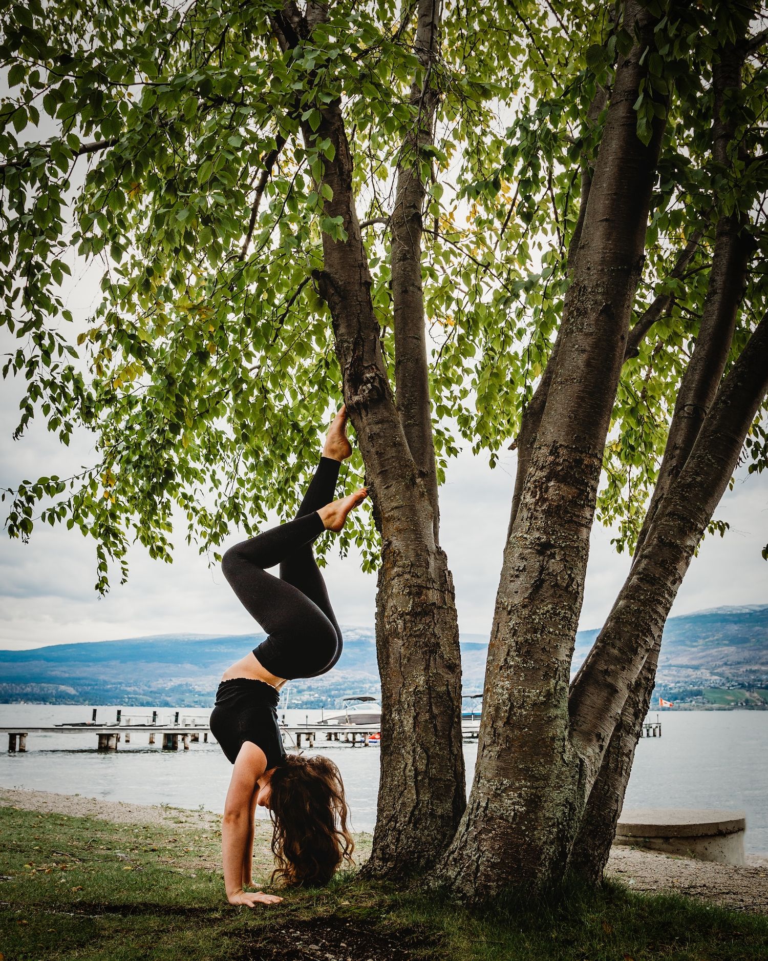 Performer does handstand against tree trunk by lakeside dock.