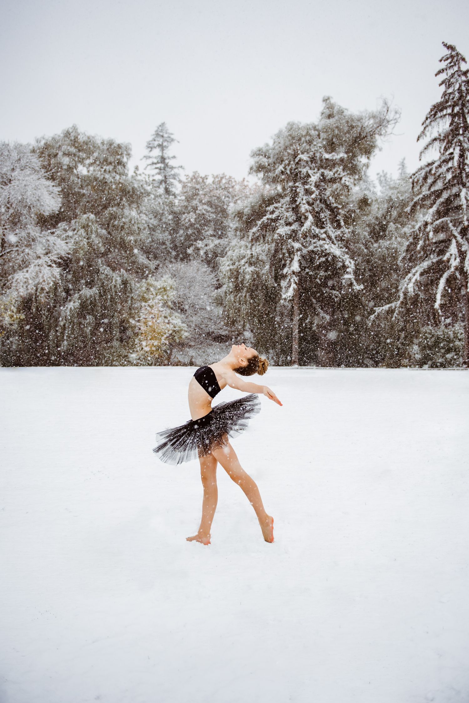 Dancer in a black tutu performs gracefully in the snow with snow-covered trees creating a dramatic winter backdrop.