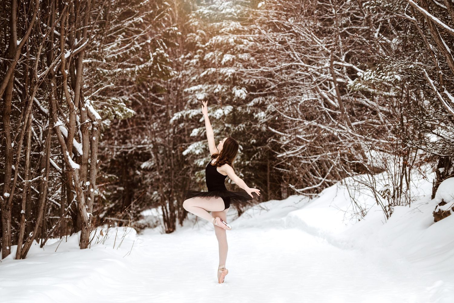 Ballet dancer performs an arabesque pose in a snowy winter forest setting with snow-covered branches.