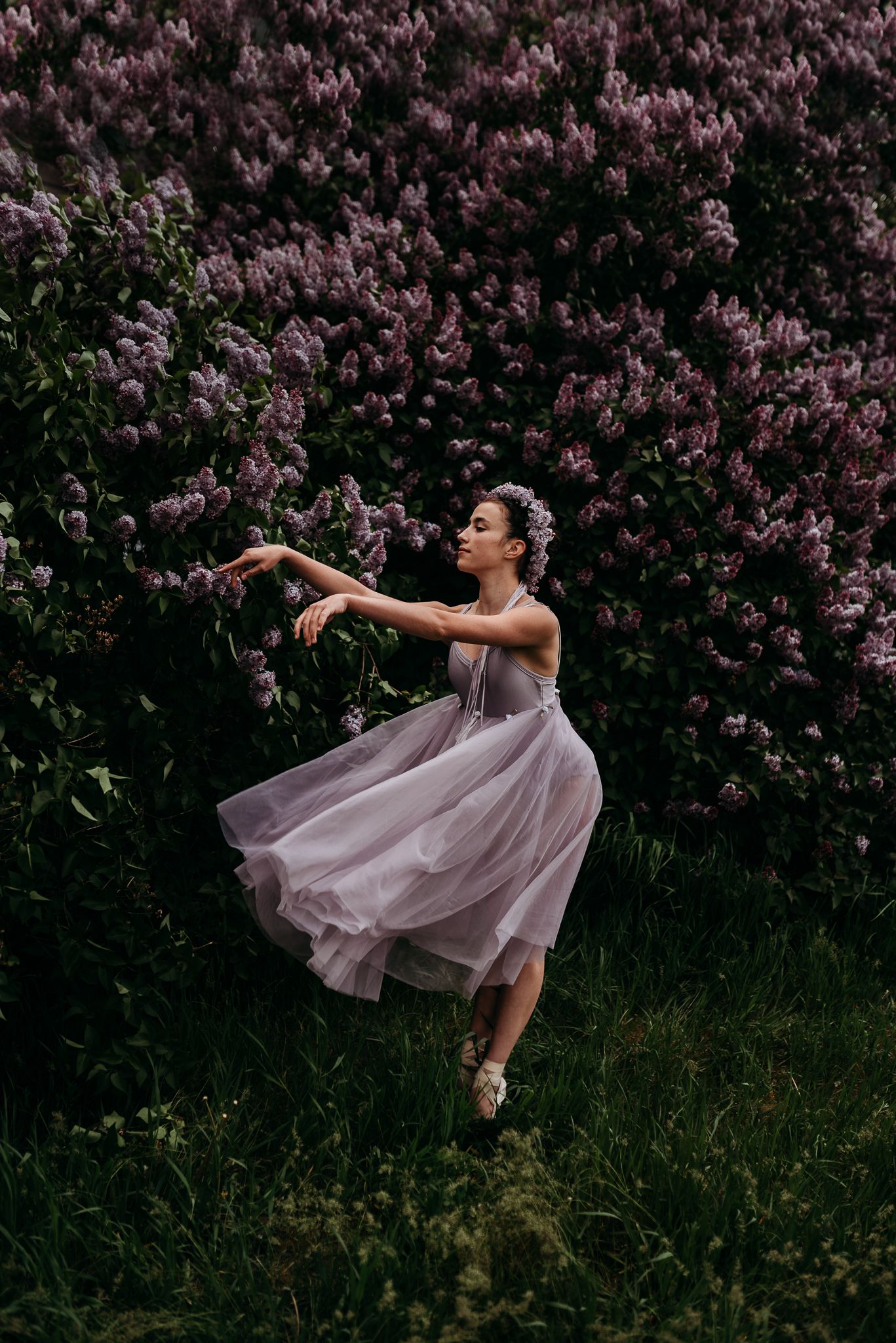 A ballet dancer in a flowing lavender dress performs gracefully in front of blooming lilac bushes.