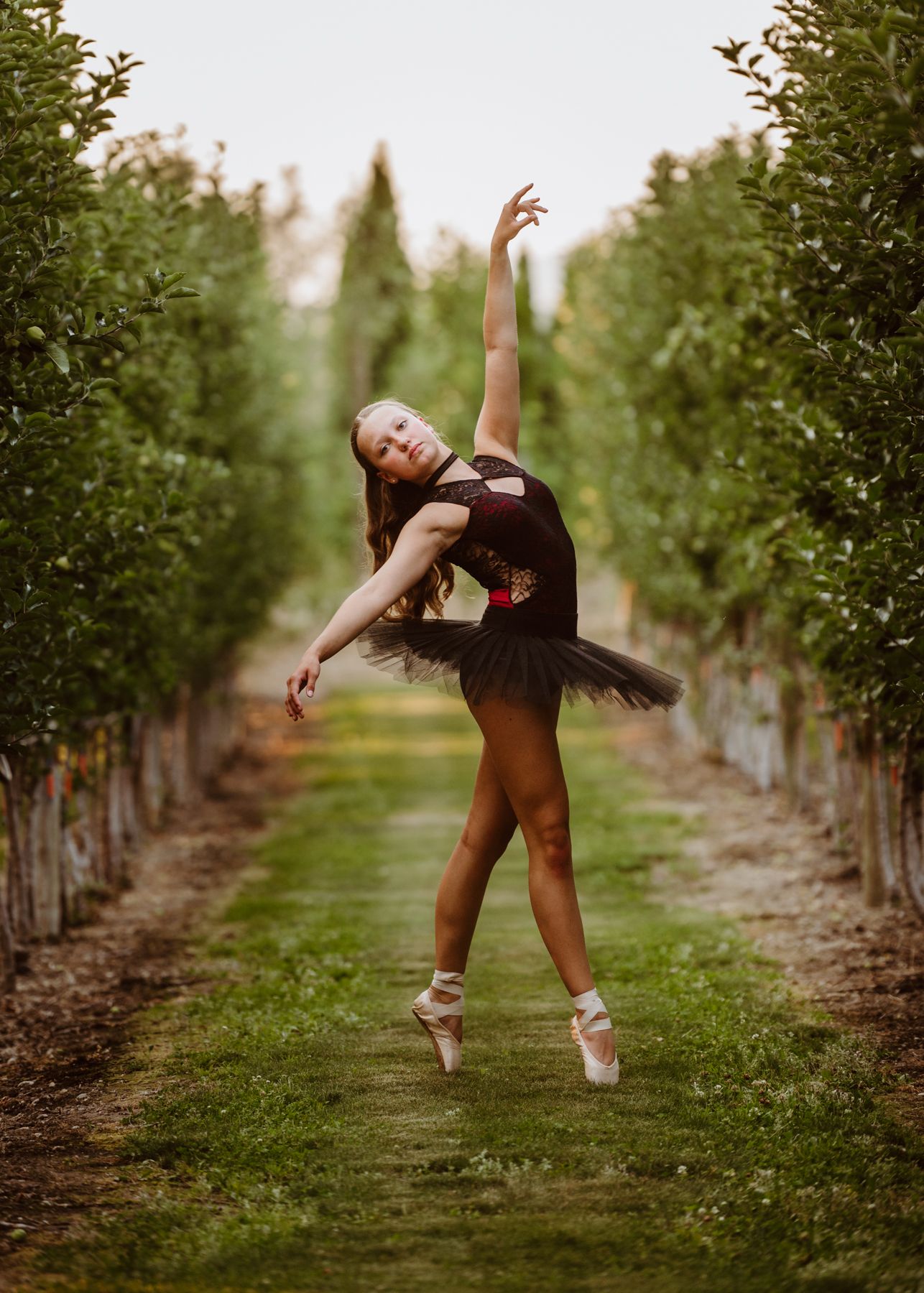 A ballet dancer in a black tutu performs an elegant pose between rows of trees in an orchard.