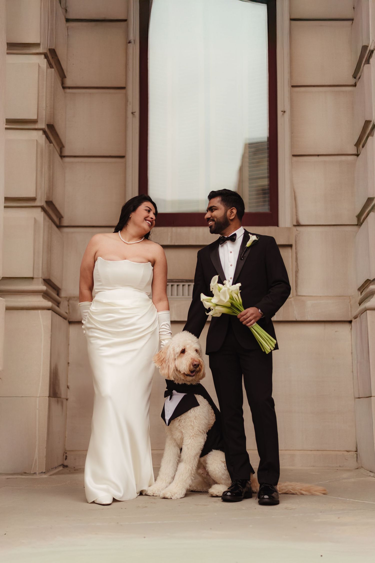 A couple in wedding attire sits on steps with their white fluffy dog in a creative three-panel photo series.