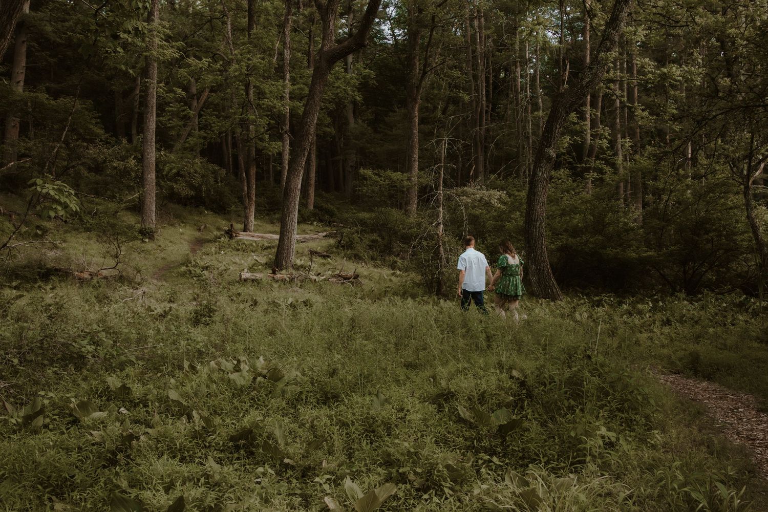 Two people walking hand in hand through a lush green forest trail surrounded by tall trees and dense foliage.