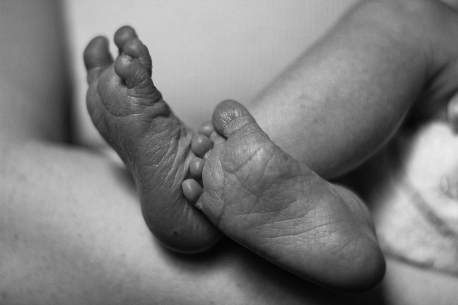 Close-up black and white photograph of newborn baby feet.