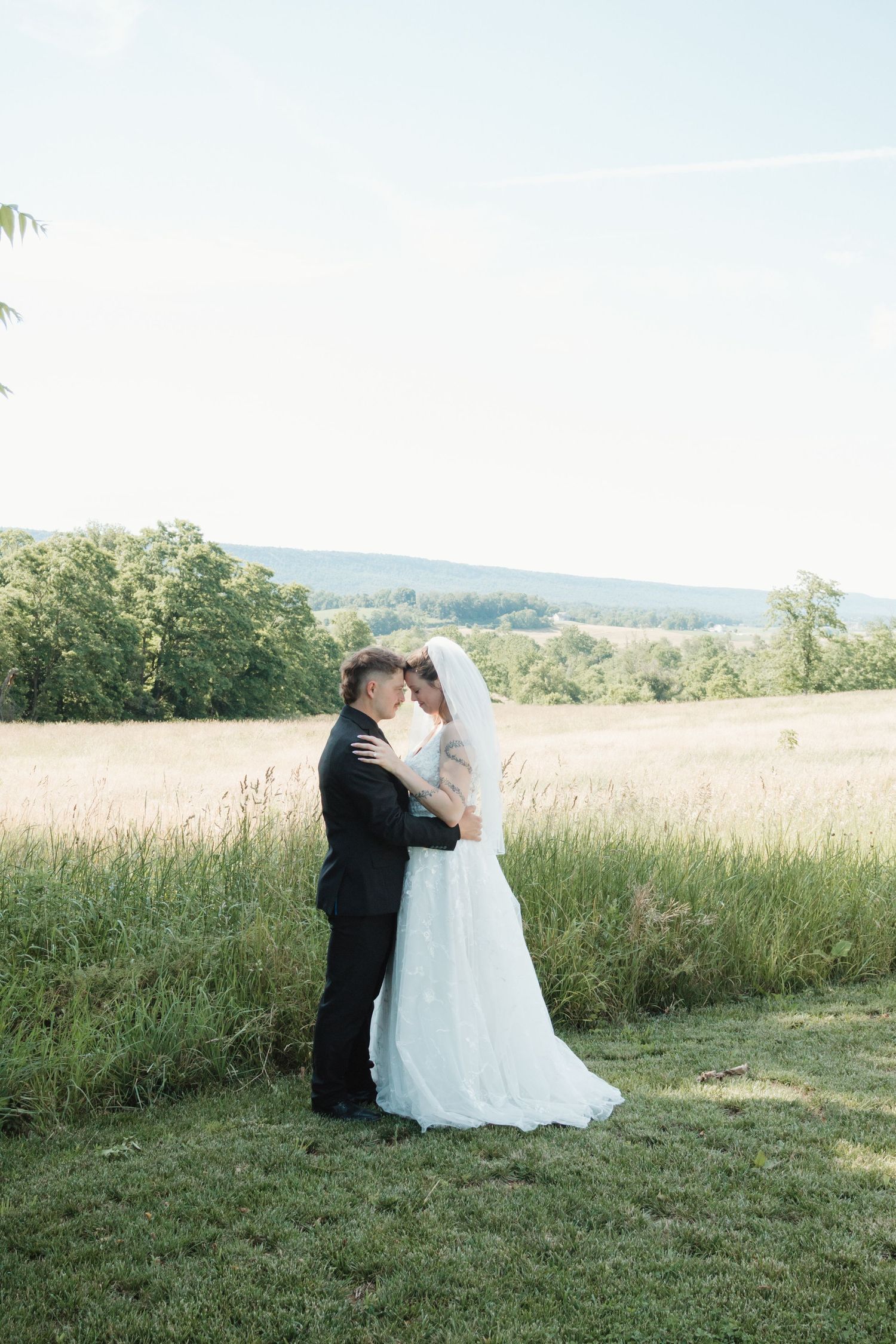 Bride and groom share a romantic kiss in a scenic outdoor field with lush green trees and rolling hills backdrop.