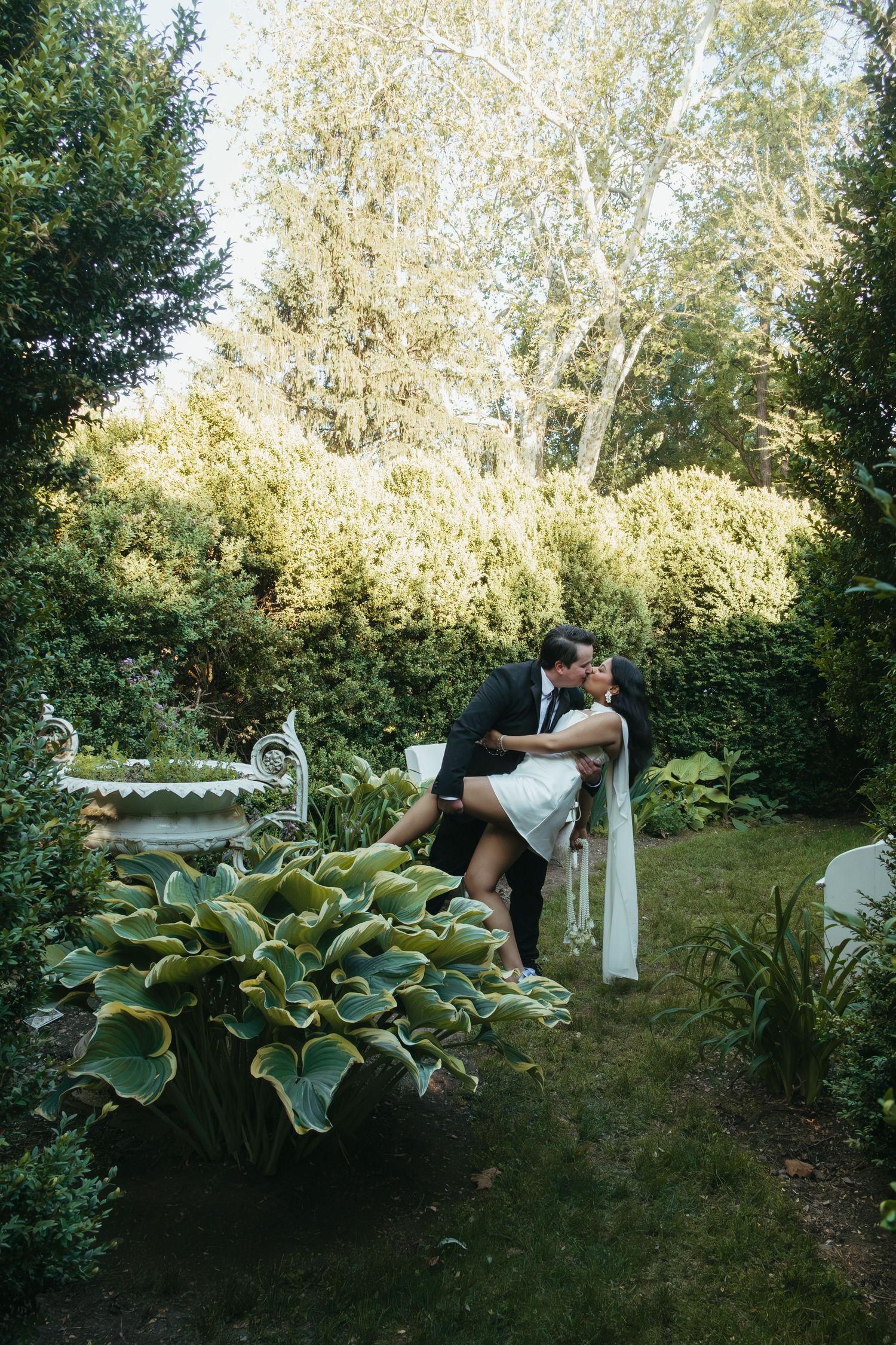 A couple shares a romantic dip kiss surrounded by lush green garden hedges and hosta plants on their wedding day.