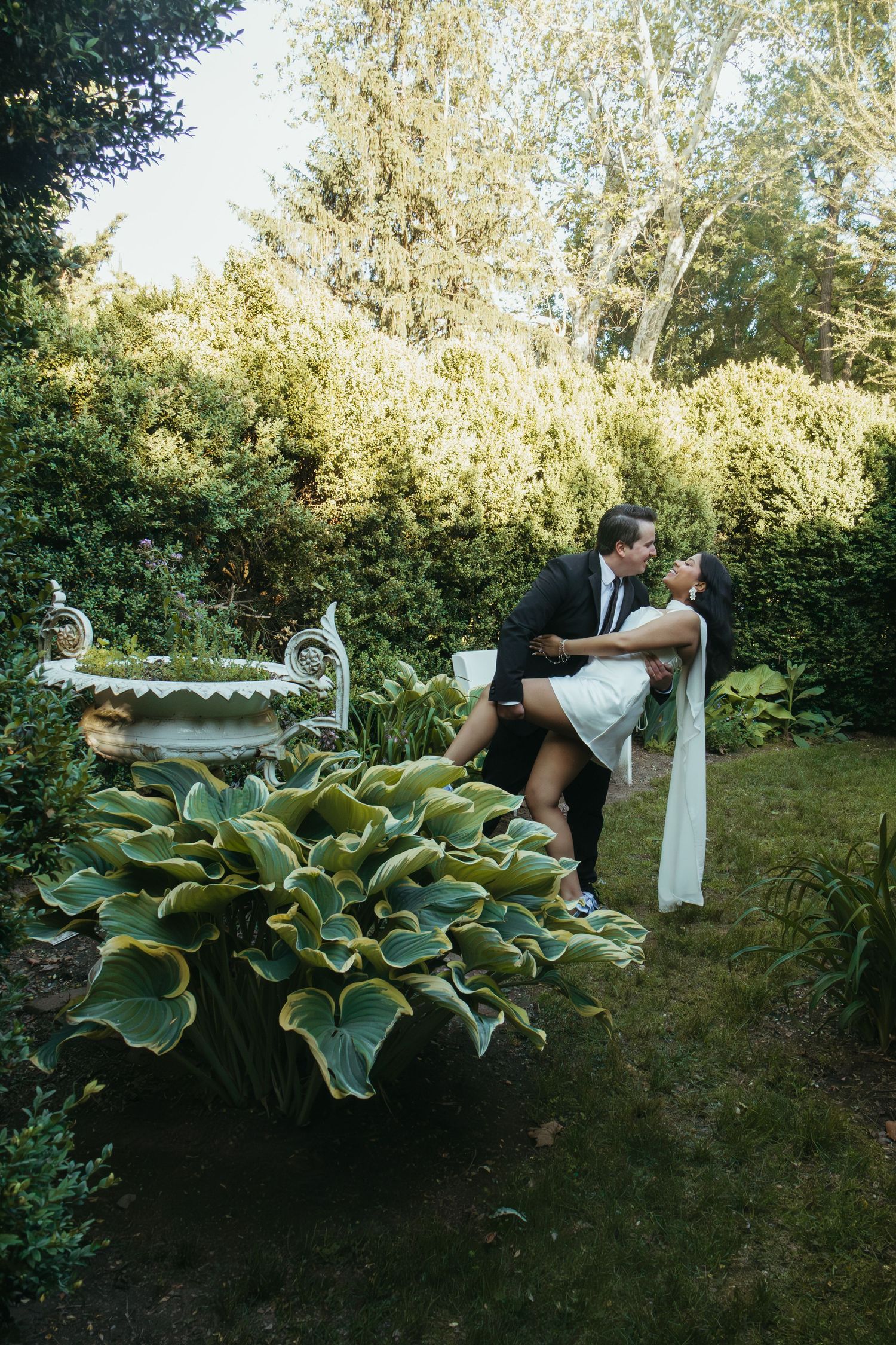 A groom in a black suit dips his bride in a white dress in a lush garden with hosta plants and hedges.