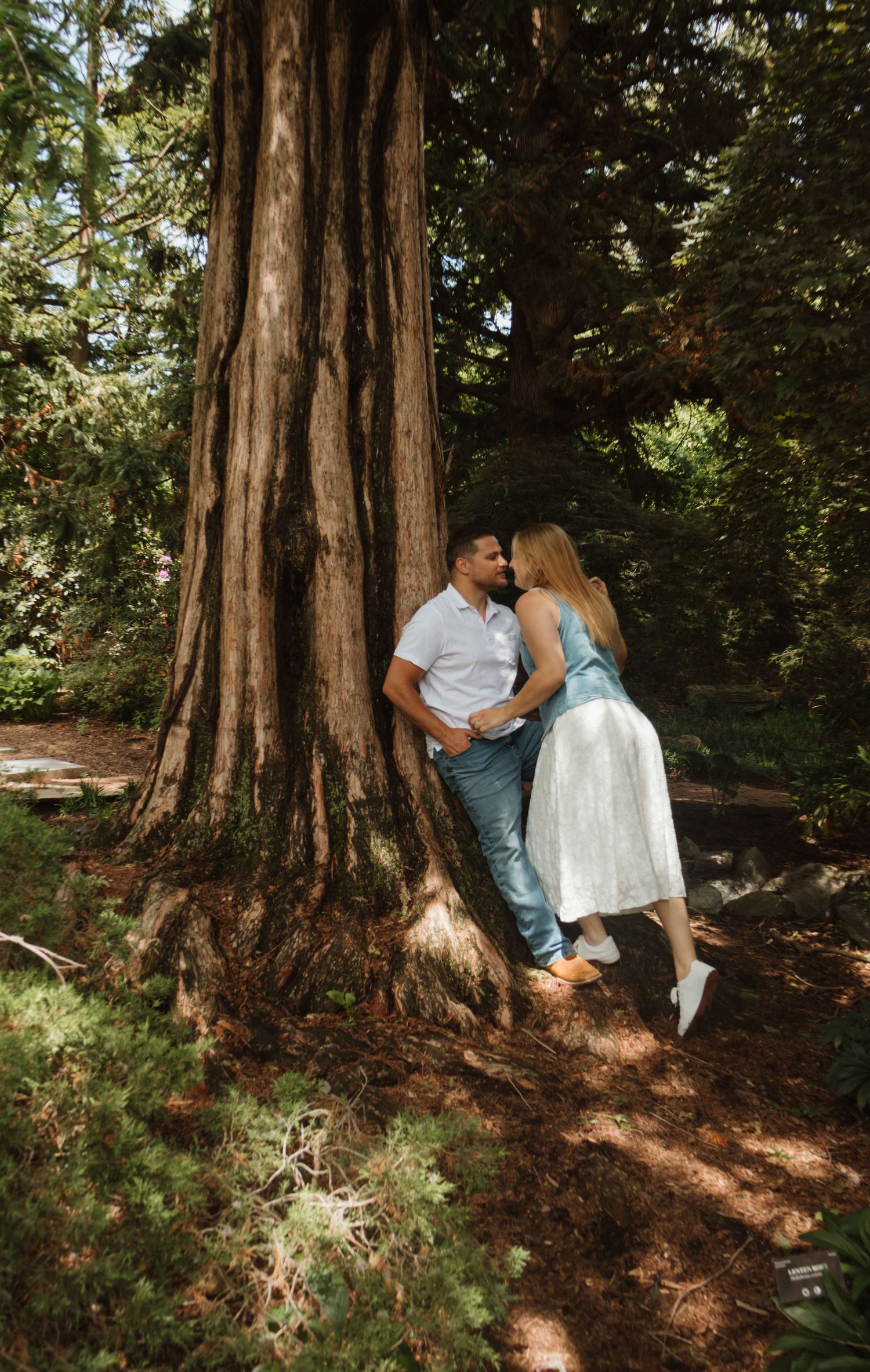 Couple sharing a romantic kiss leaning against a large redwood tree in a lush green forest setting.