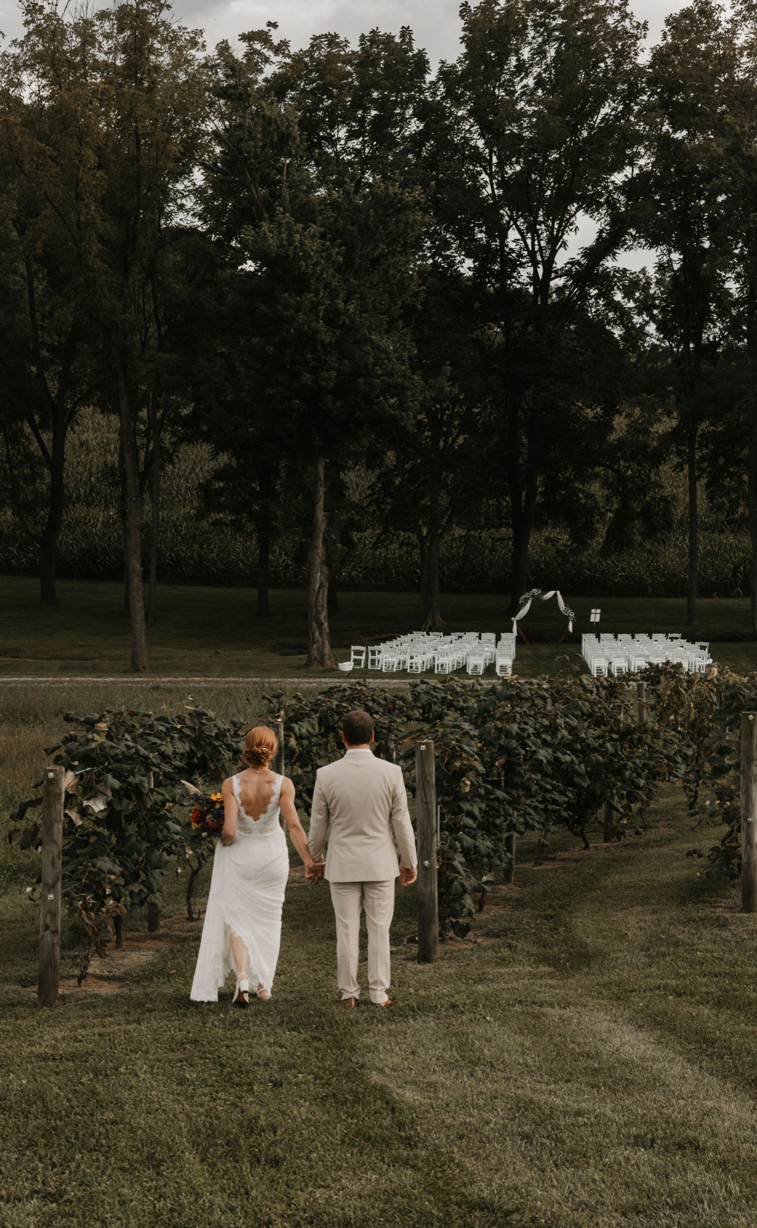 Bride and groom walk hand-in-hand through a vineyard toward an outdoor wedding ceremony with white chairs.