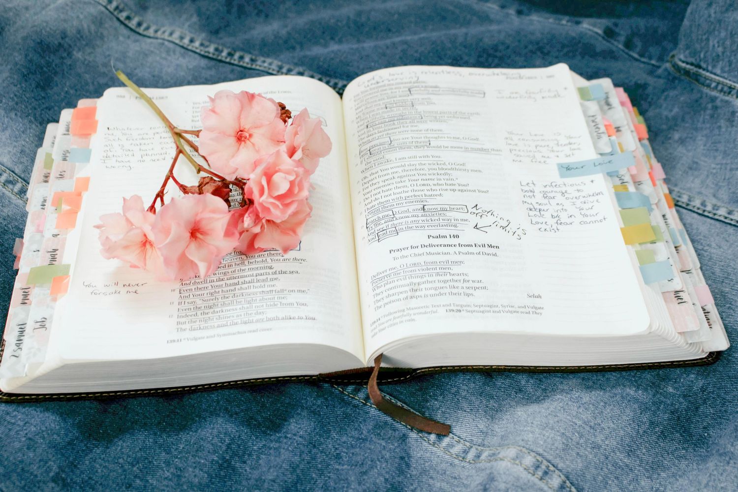 Open Bible with pink cherry blossoms resting on pages, colorful tabs, and handwritten notes on denim background.