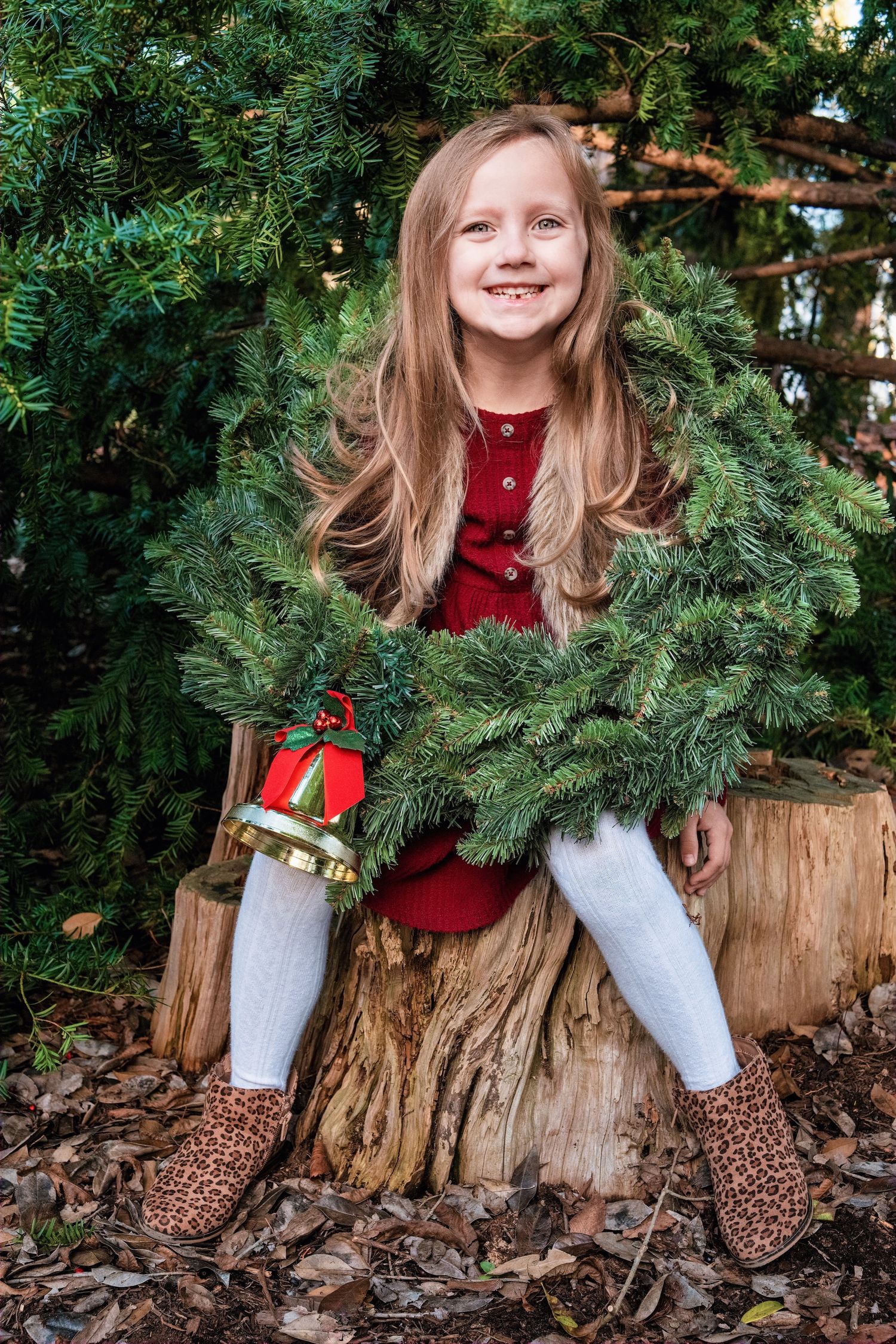 A festive holiday scene with evergreen branches and a decorative red bell ornament on a tree stump.