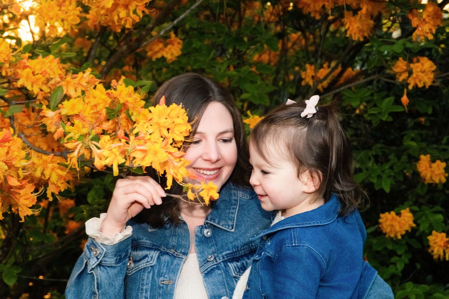 Two people in denim jackets share a sweet moment while looking at bright yellow autumn maple leaves.